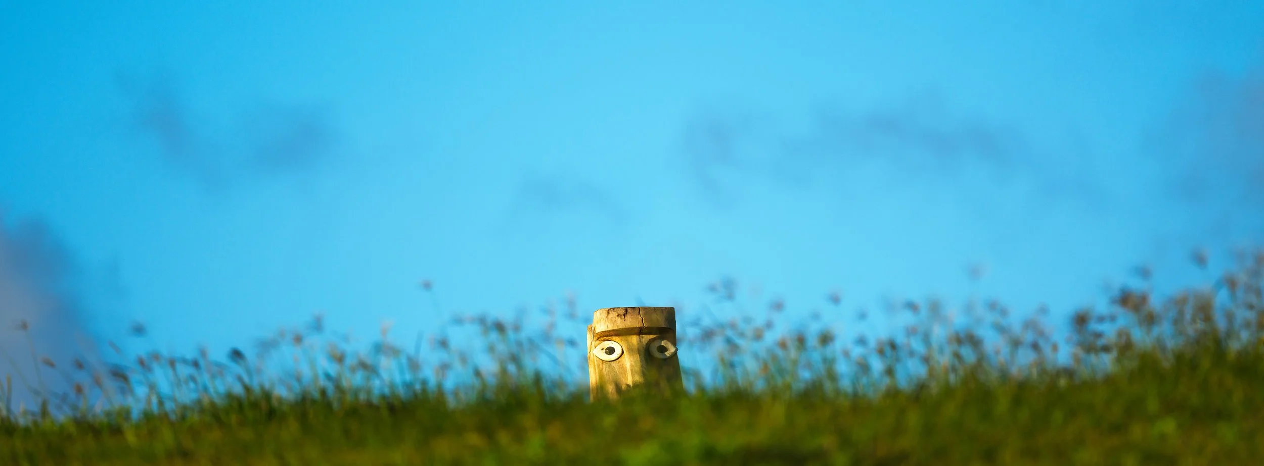Wooden stump with googly eyes peeking over a grassy hill, blue sky with some clouds in the background.