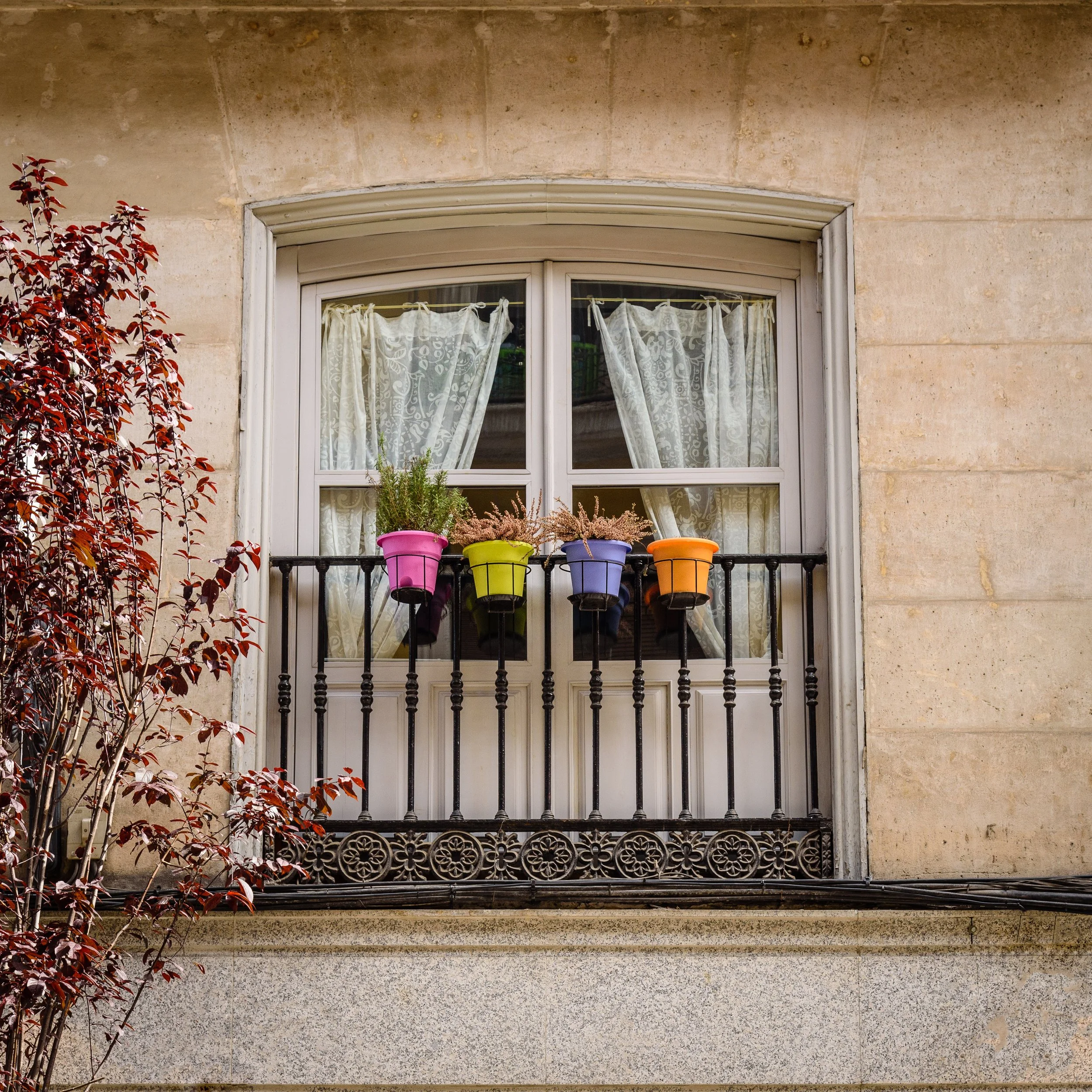 Window with lace curtains and four colorful flower pots on a black wrought iron balcony railing, with red foliage on the left.