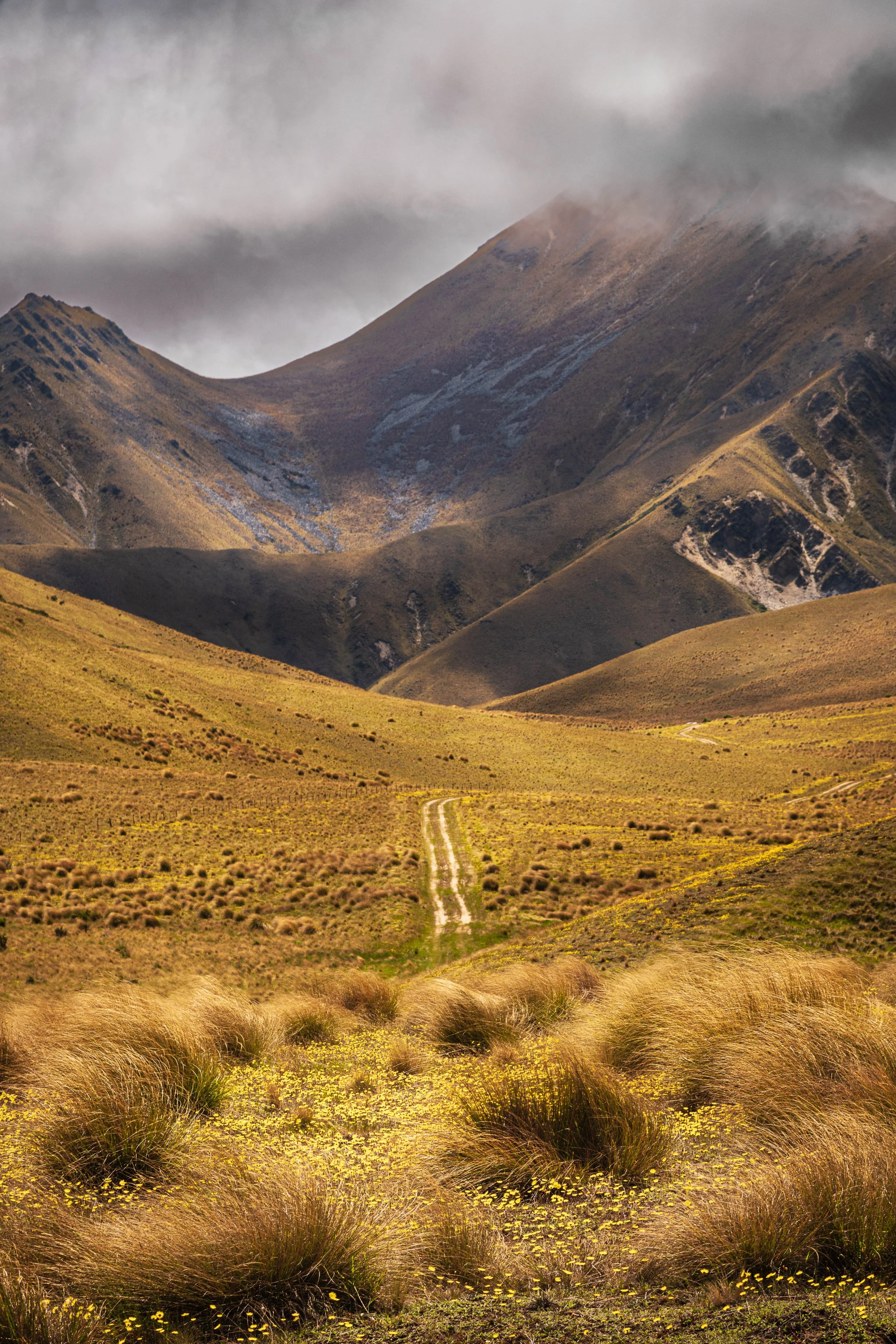 A landscape with a dirt road winding through grassy hills and mountains under a cloudy sky.