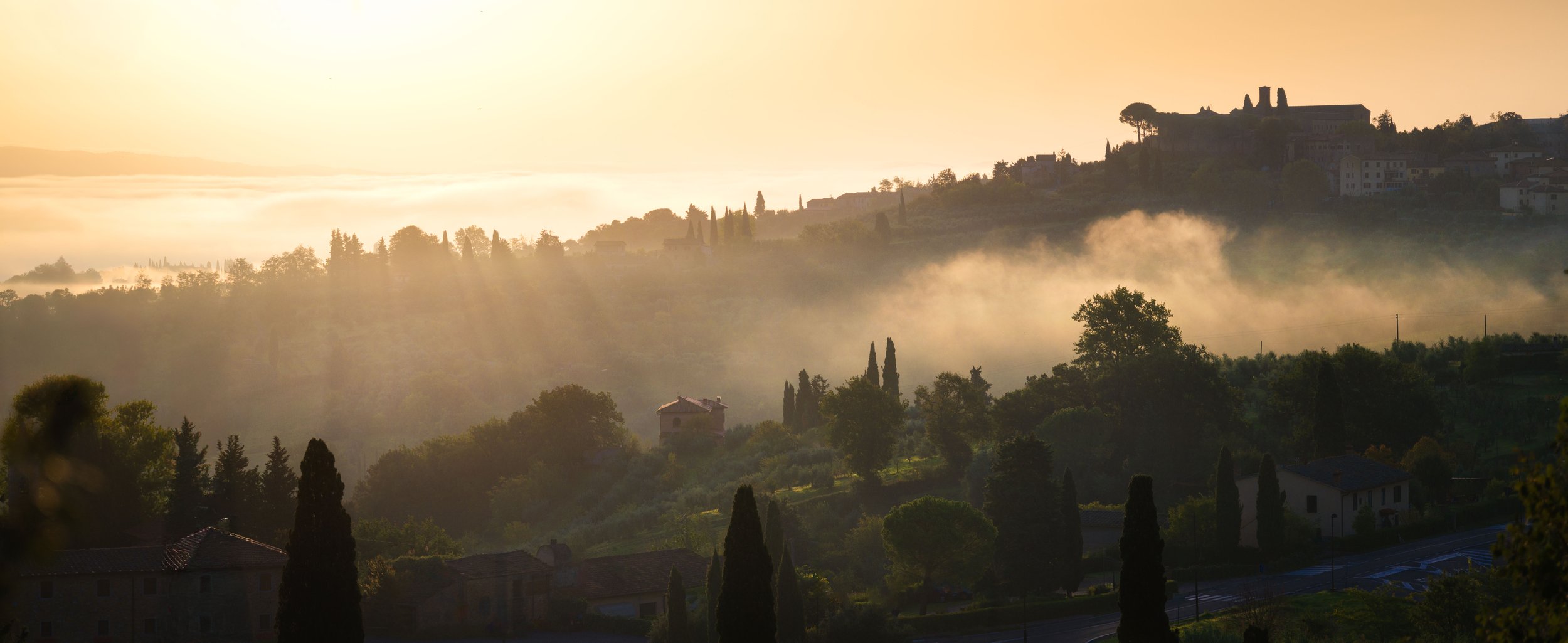 Sunrise over a foggy hillside with trees, cypress, and houses.