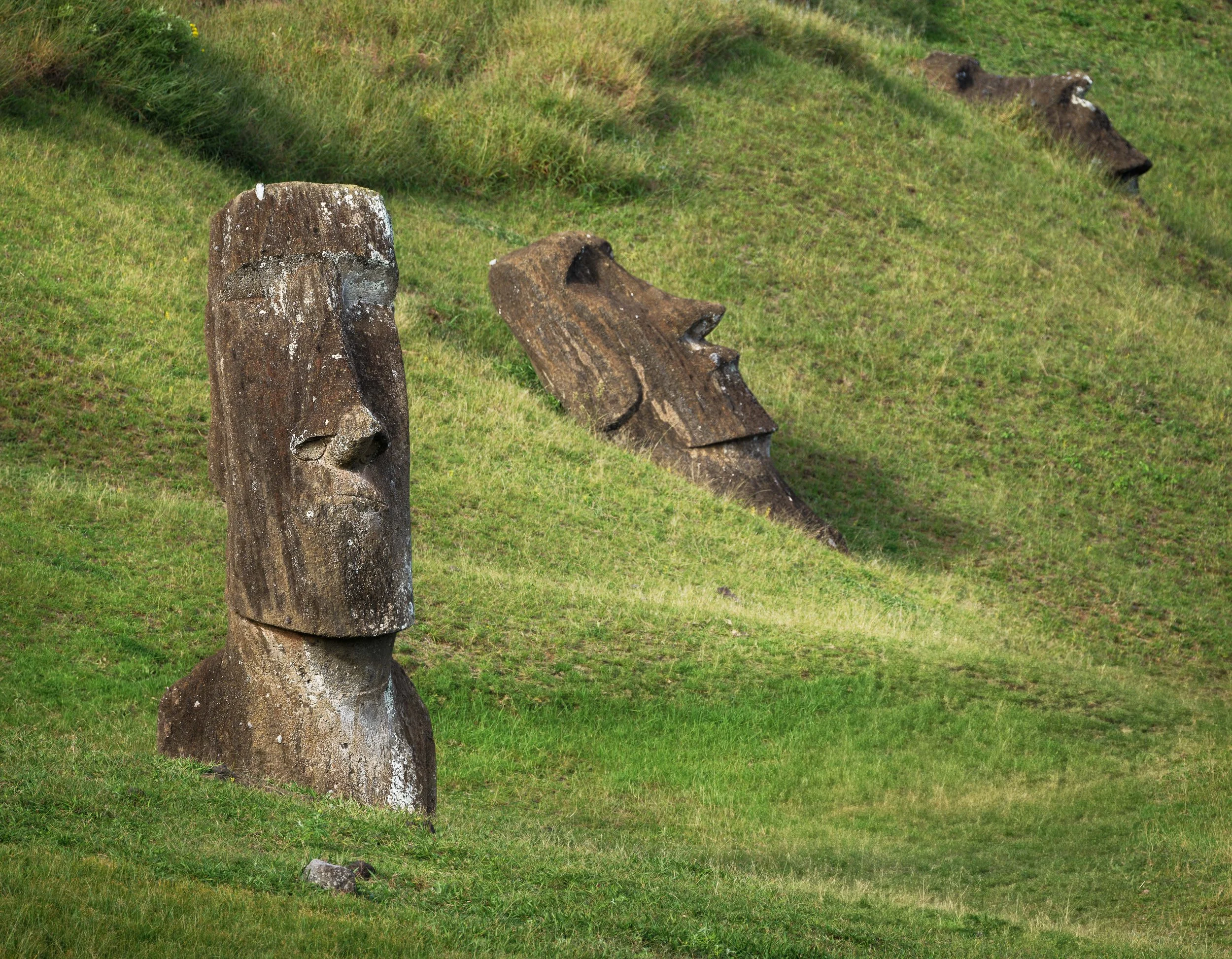 Three large moai statues partially buried on grassy hillside, with one in the foreground and two in the background.