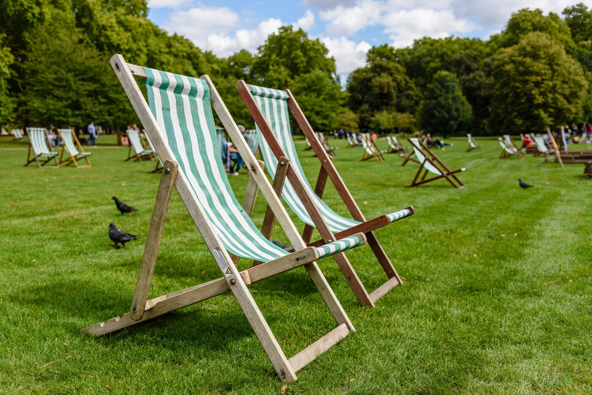 Multiple striped deck chairs on a grassy park during daytime with trees and people in the background.