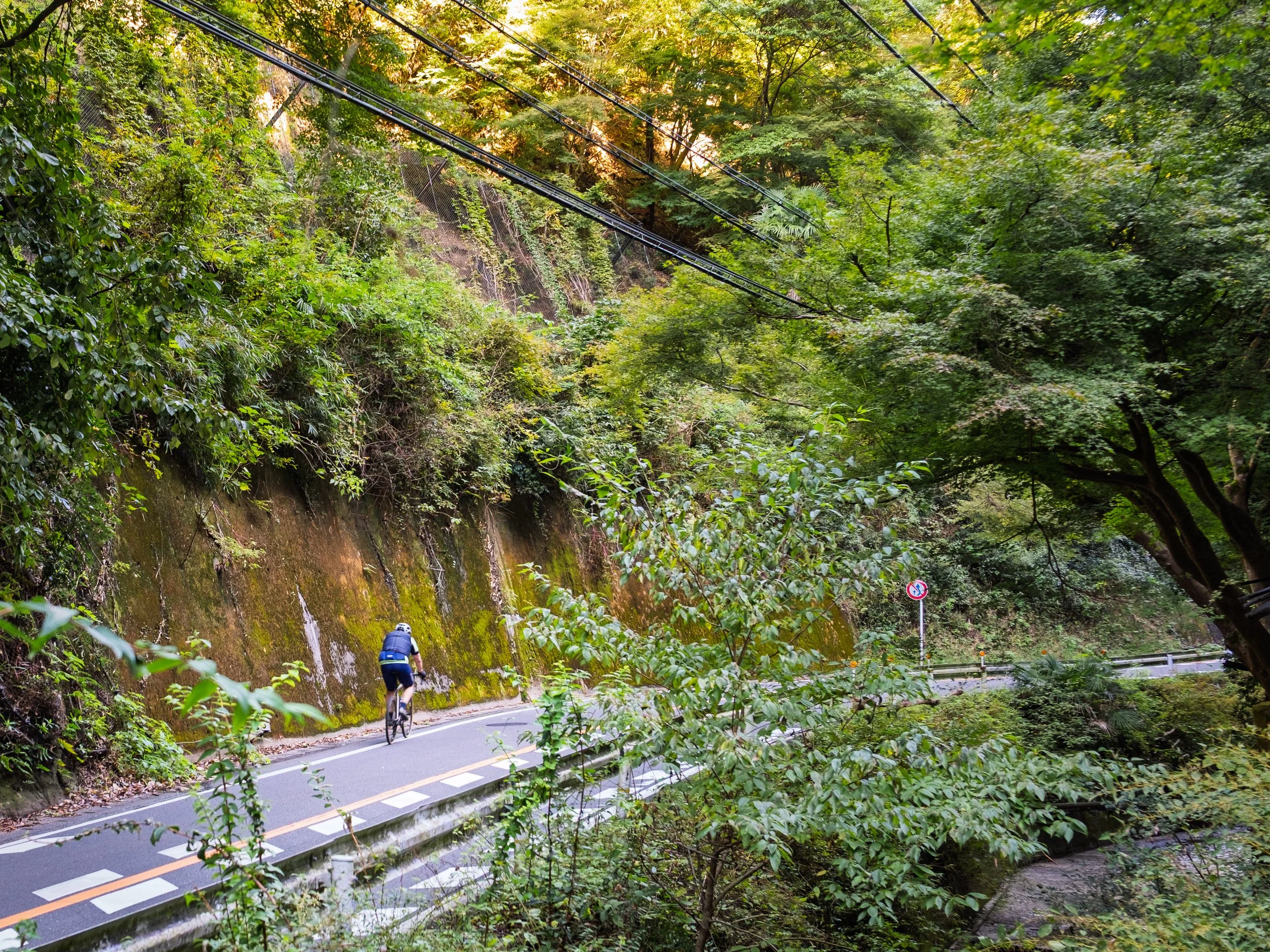 A cyclist riding on a winding mountain road surrounded by dense green forest.
