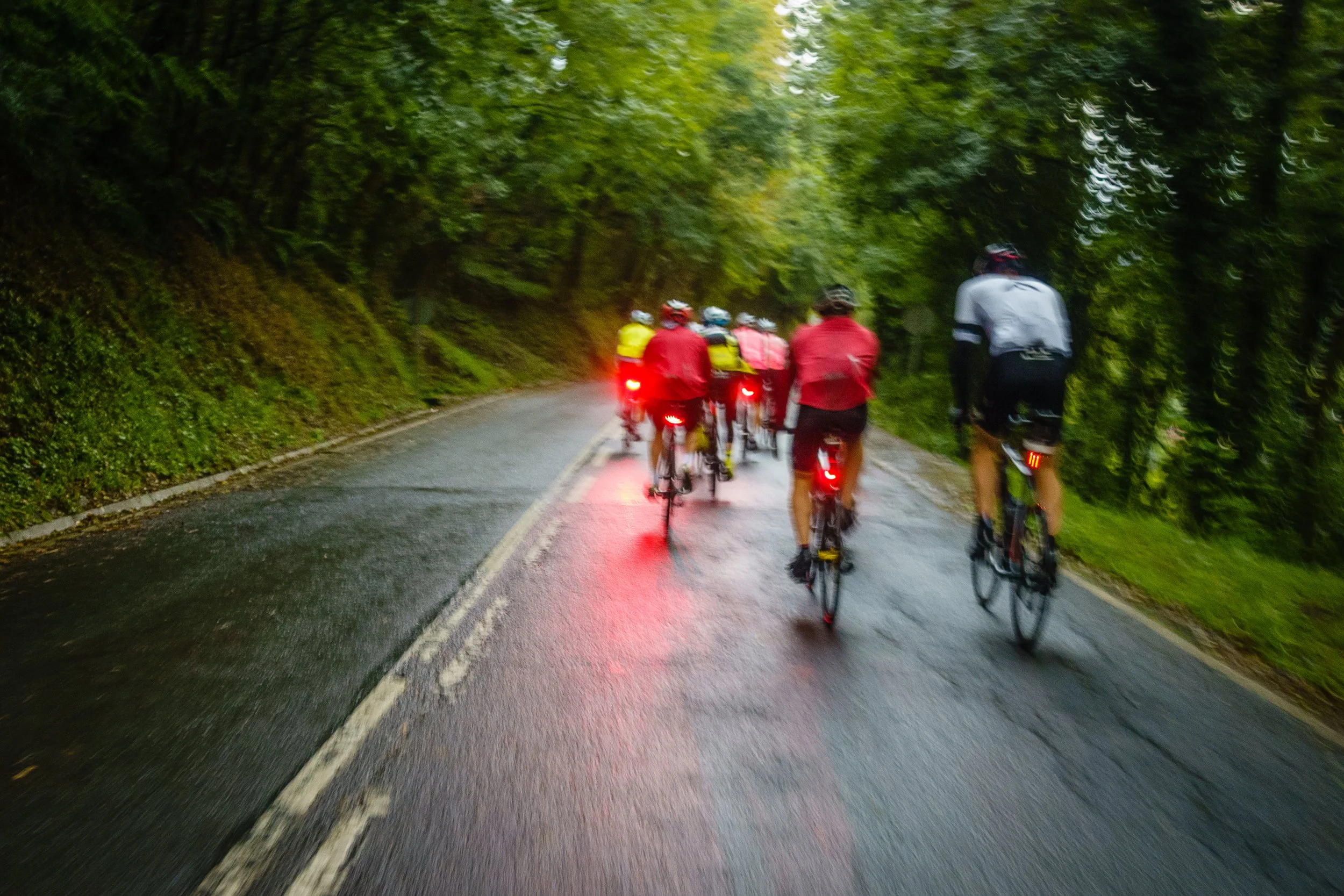 Group of cyclists riding on a rainy road through a green forested area.