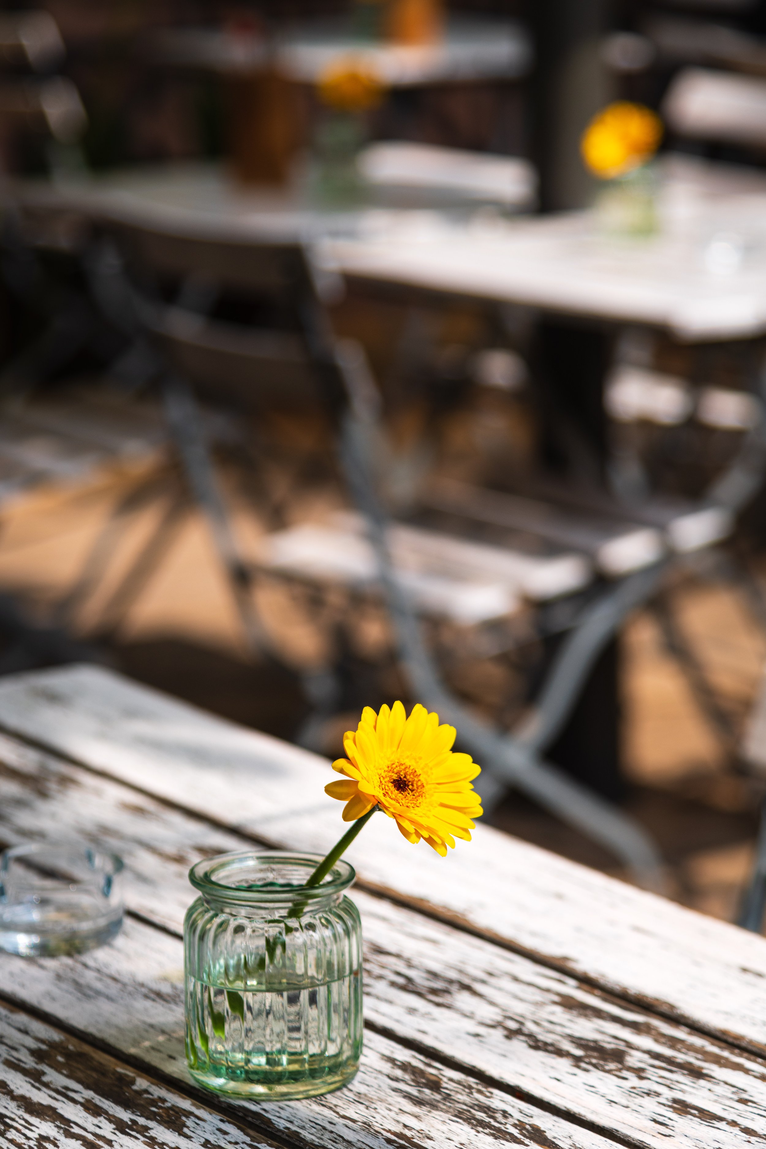 Yellow flower in a small glass vase on a rustic wooden table outdoors, with blurred outdoor chairs and tables in the background.