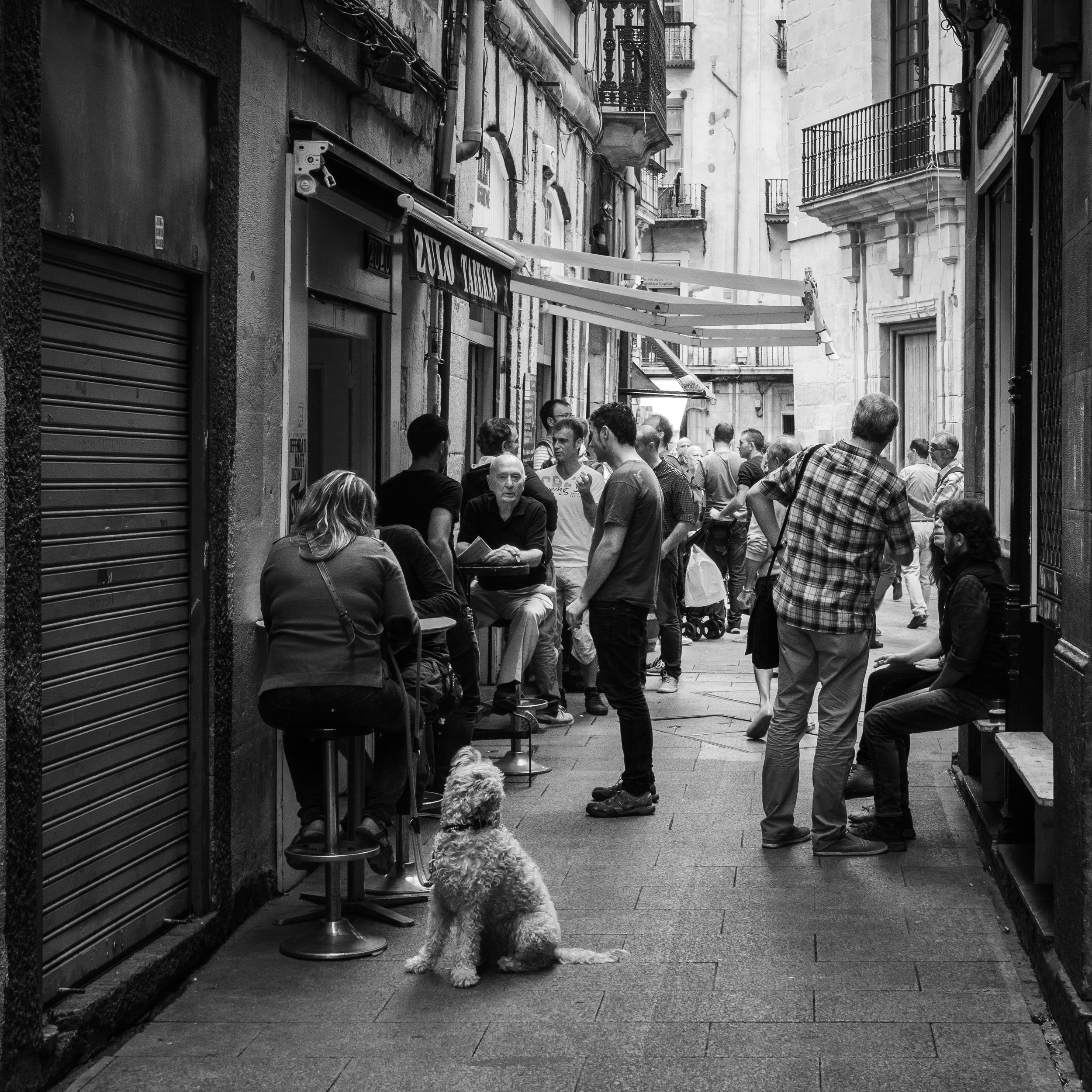 People gather on a narrow city street, some sitting on stools and benches, others standing and talking, in a lively urban scene. A dog sits in the foreground.