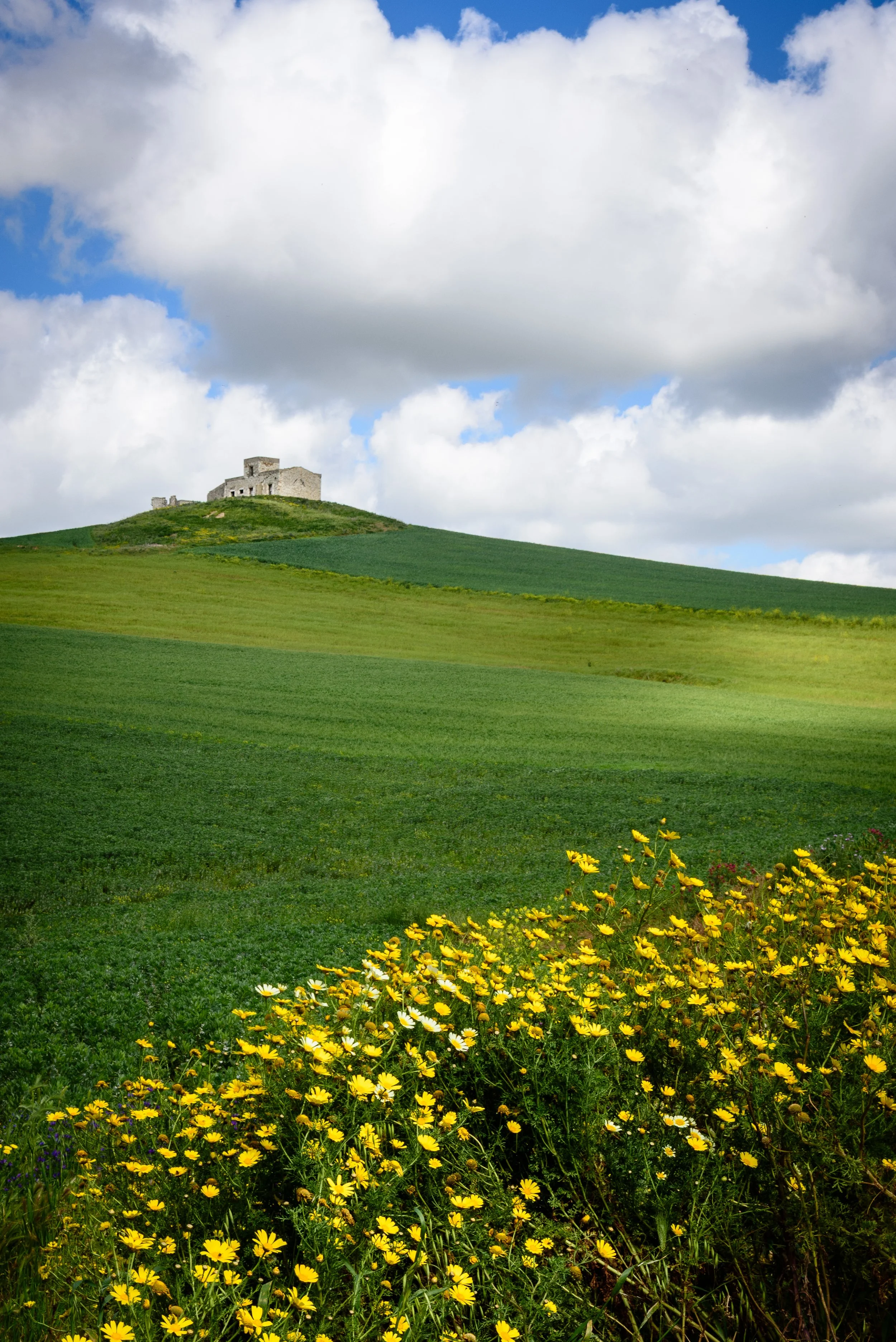 A lush green hillside with a stone building atop, under a partly cloudy blue sky, and yellow wildflowers in the foreground.