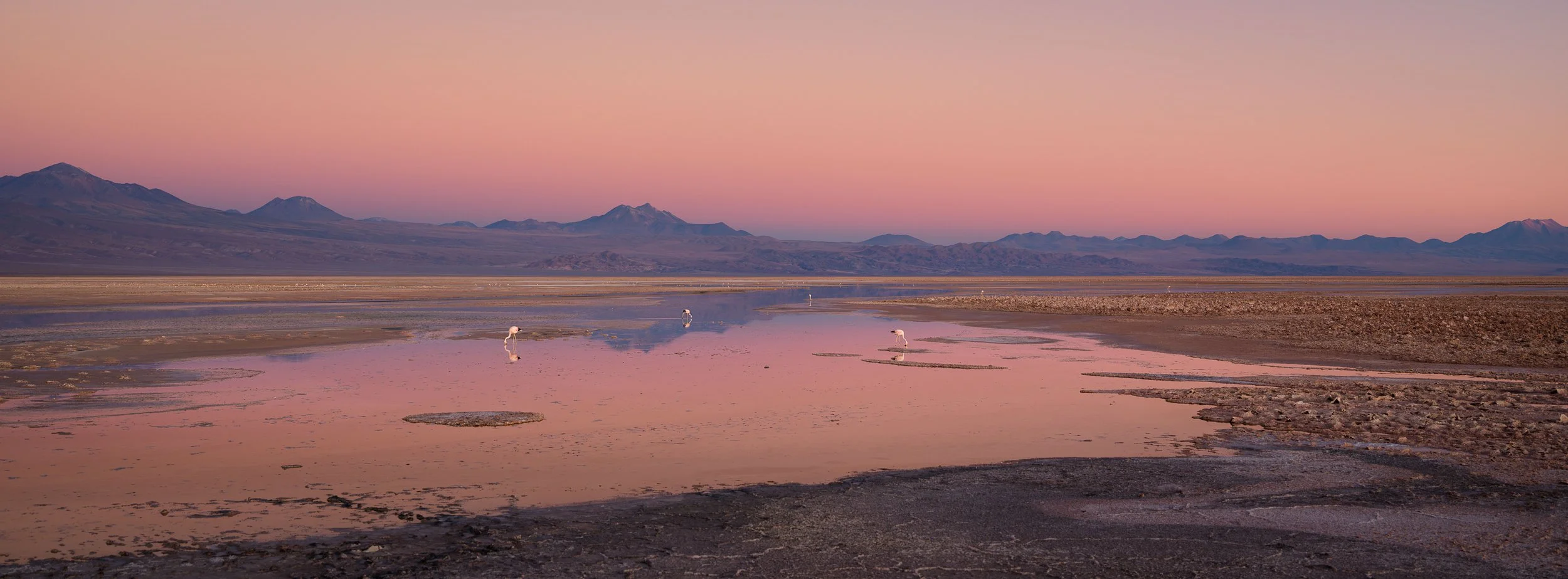 A tranquil desert landscape with pink and purple hues in the sky, a shallow water body with flamingos, and distant mountains.