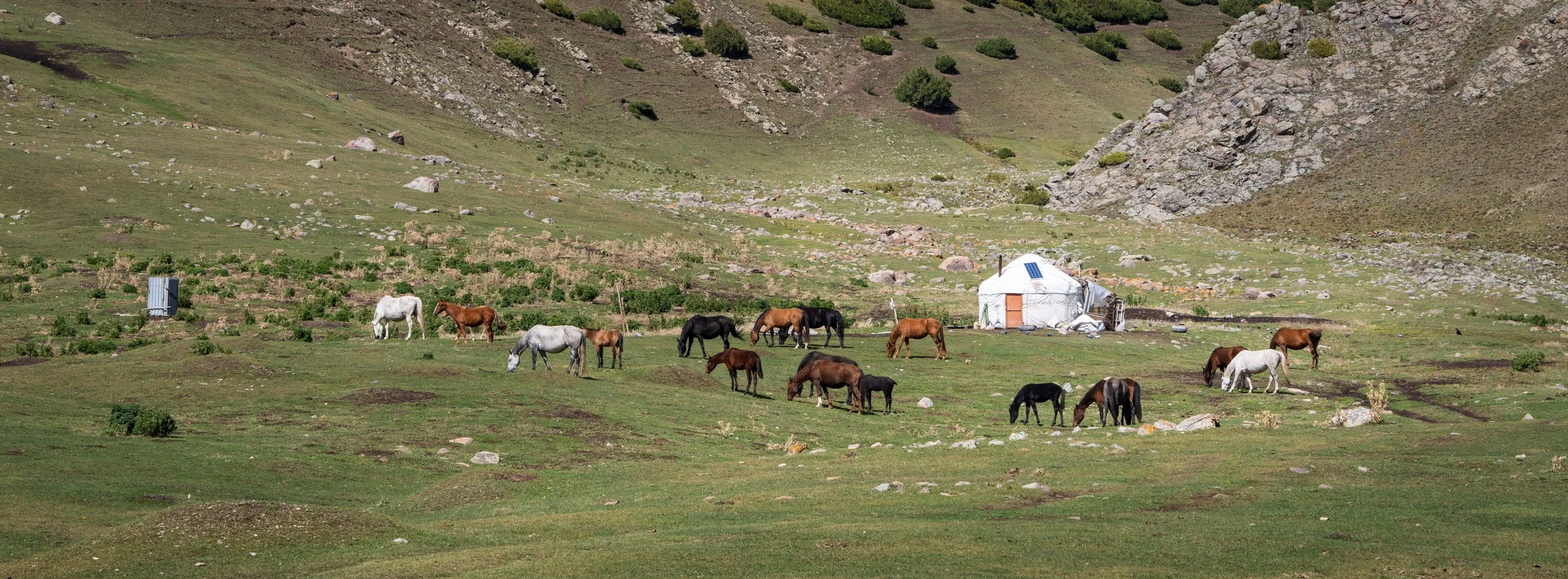 A green grassy valley with horses grazing near a white tent and small structure, surrounded by rocky hills.