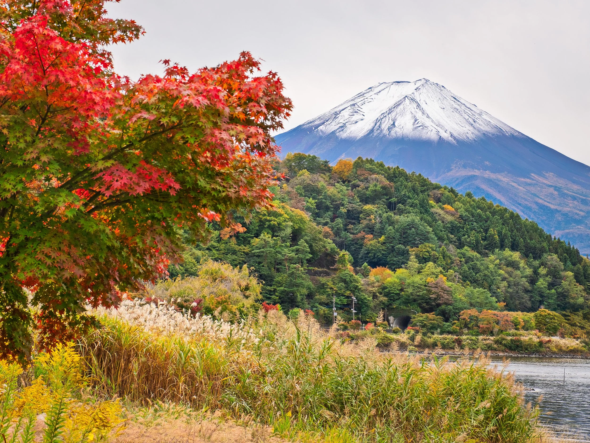 Japan on a bike-53.jpg
