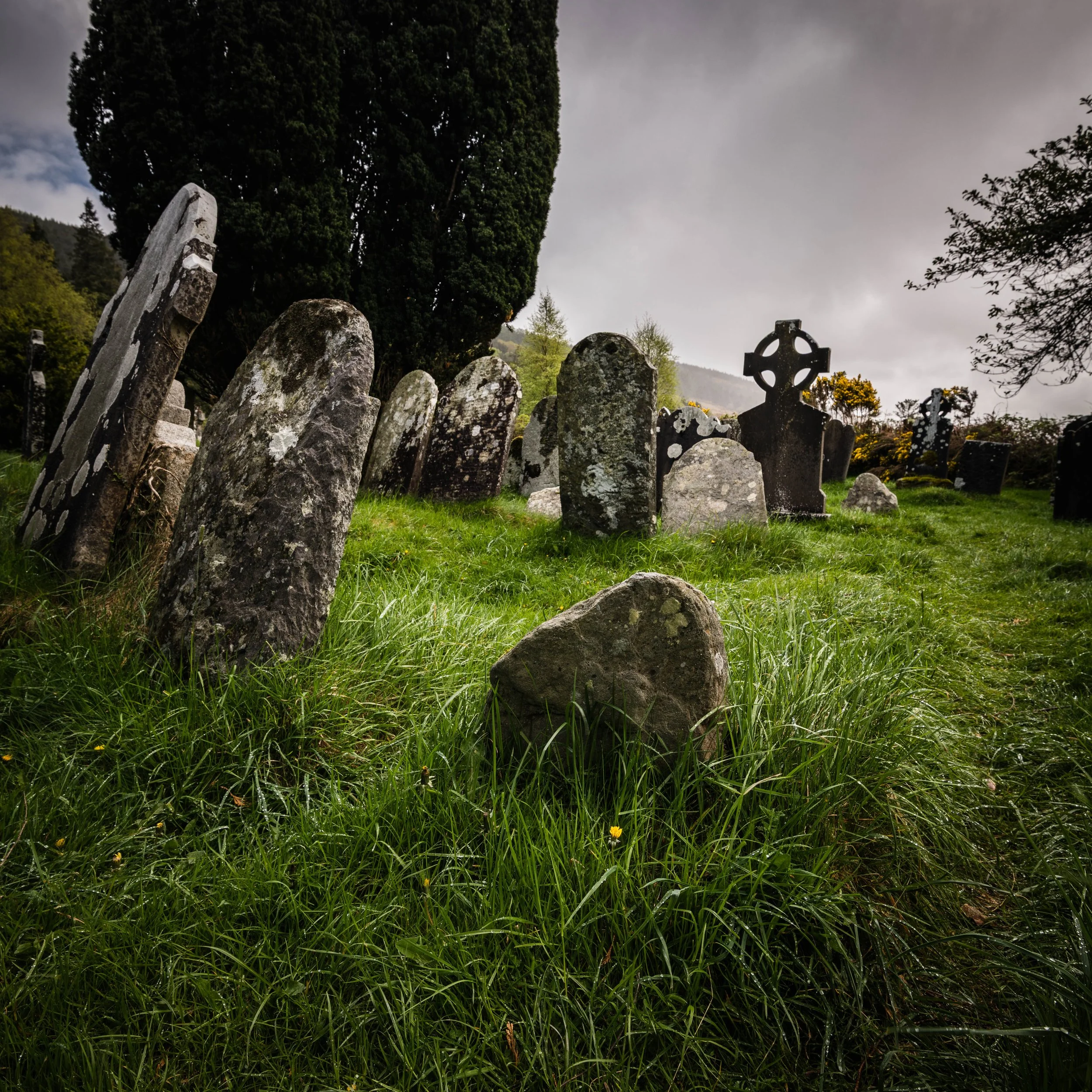 A graveyard with multiple weathered headstones and crosses surrounded by green grass and trees under a cloudy sky.