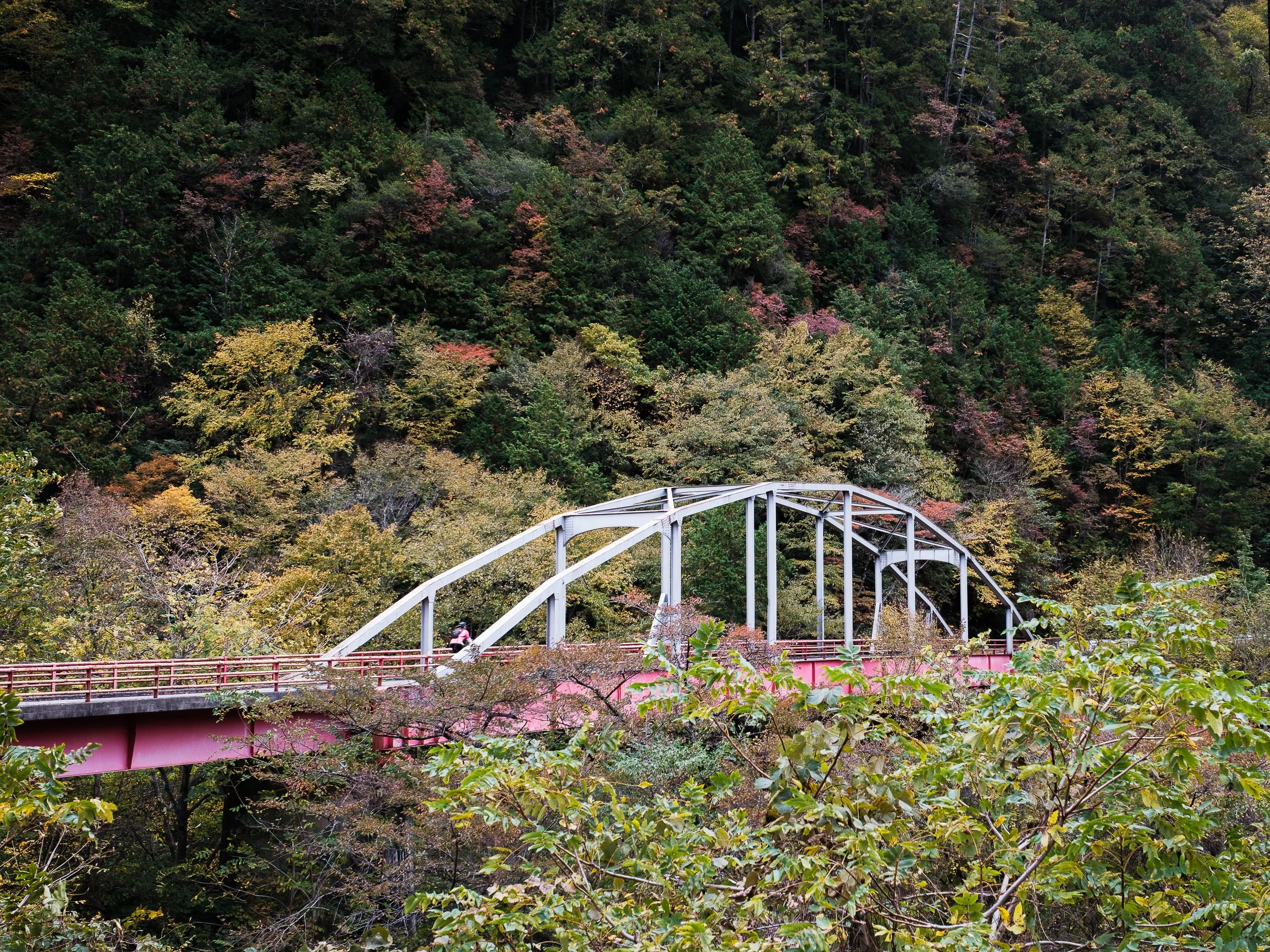 A pink bridge with a white arch spans over a forested valley with autumn trees.