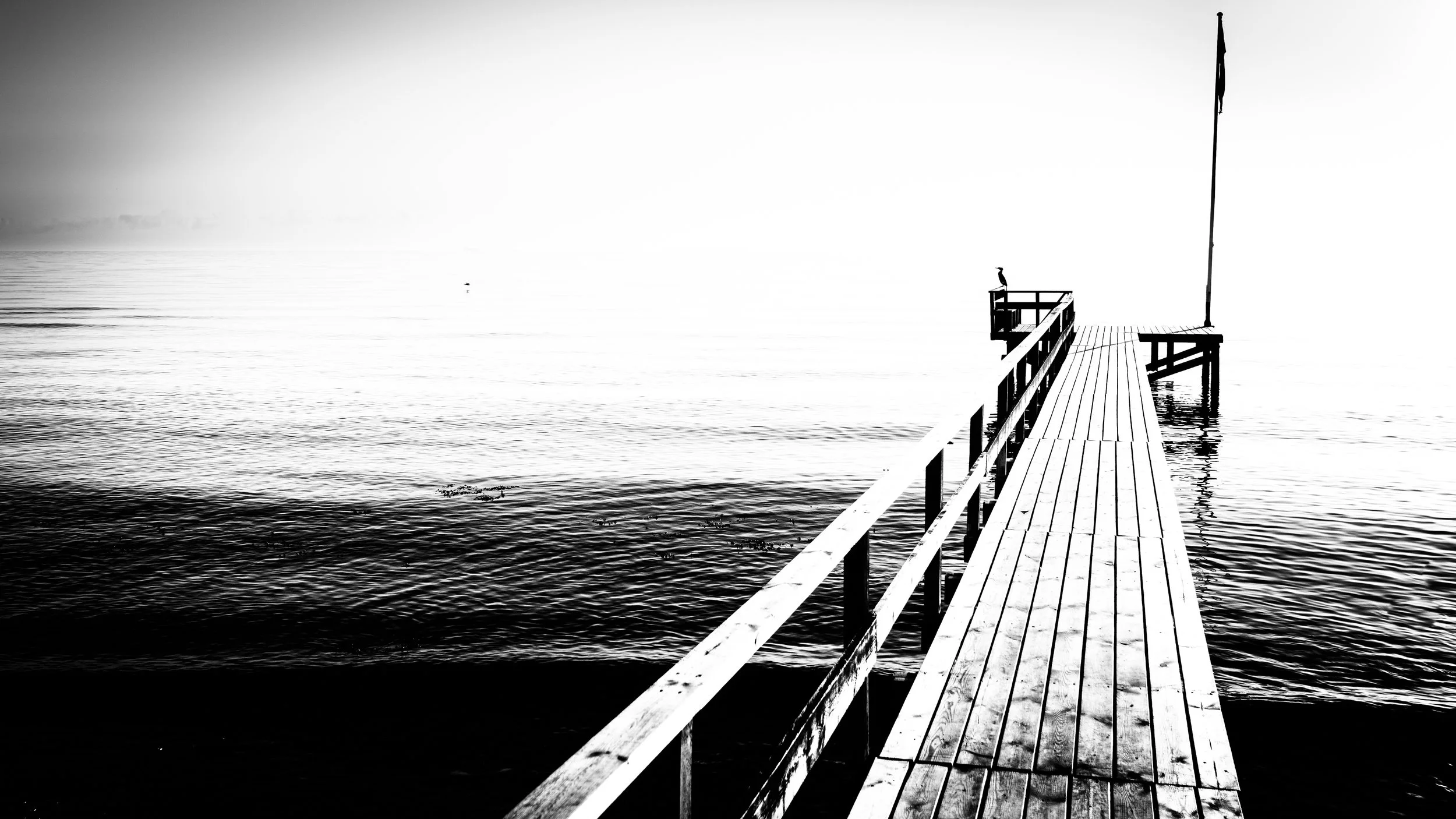 A black and white photo of a wooden pier extending into a calm body of water with a flagpole at the end.