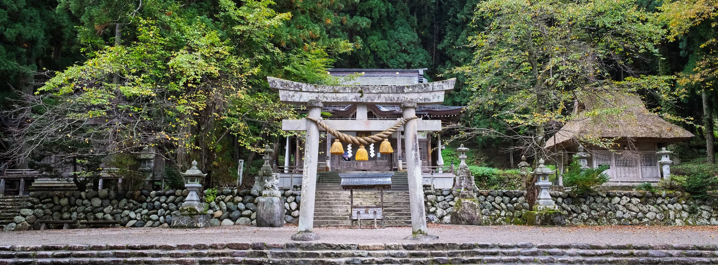 A traditional Japanese Shinto shrine surrounded by trees, featuring a stone torii gate decorated with a shimenawa rope and hanging tassels at the entrance, stone lanterns, and wooden structures in the background.