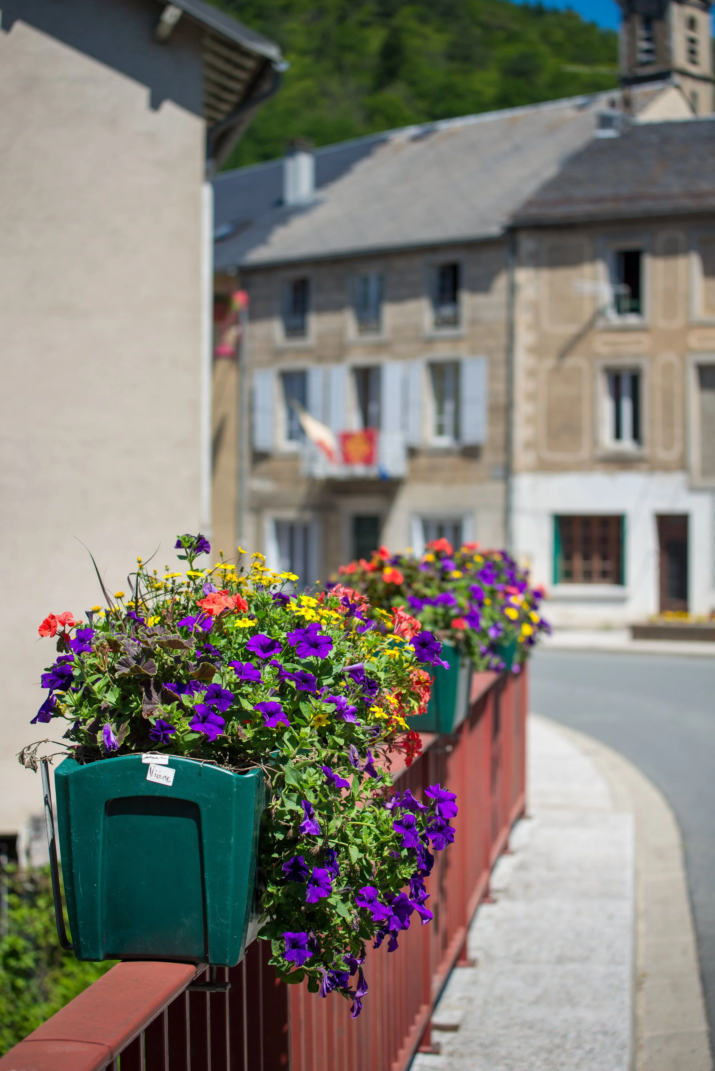 Colorful purple, yellow, and red flowers in green window boxes along a red railing on a sunny street.