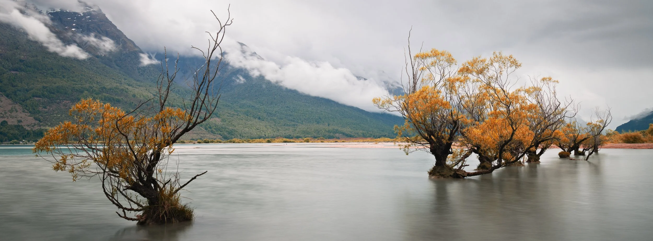 Trees with orange leaves partially submerged in water in a landscape with mountains and cloudy sky.