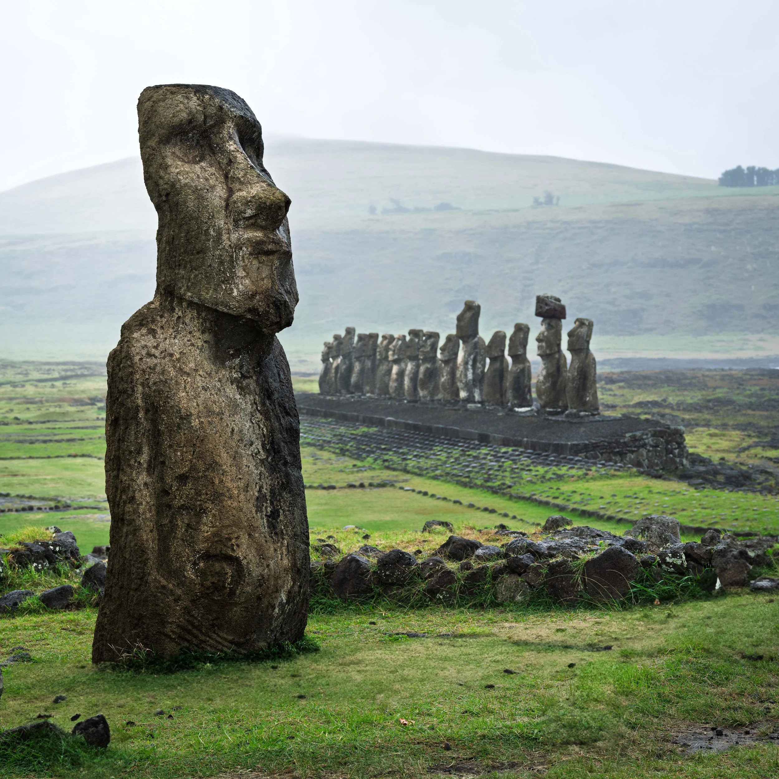 A large Moai statue in the foreground with several more Moai statues in the background on Easter Island, surrounded by green grassy land and rolling hills under an overcast sky.