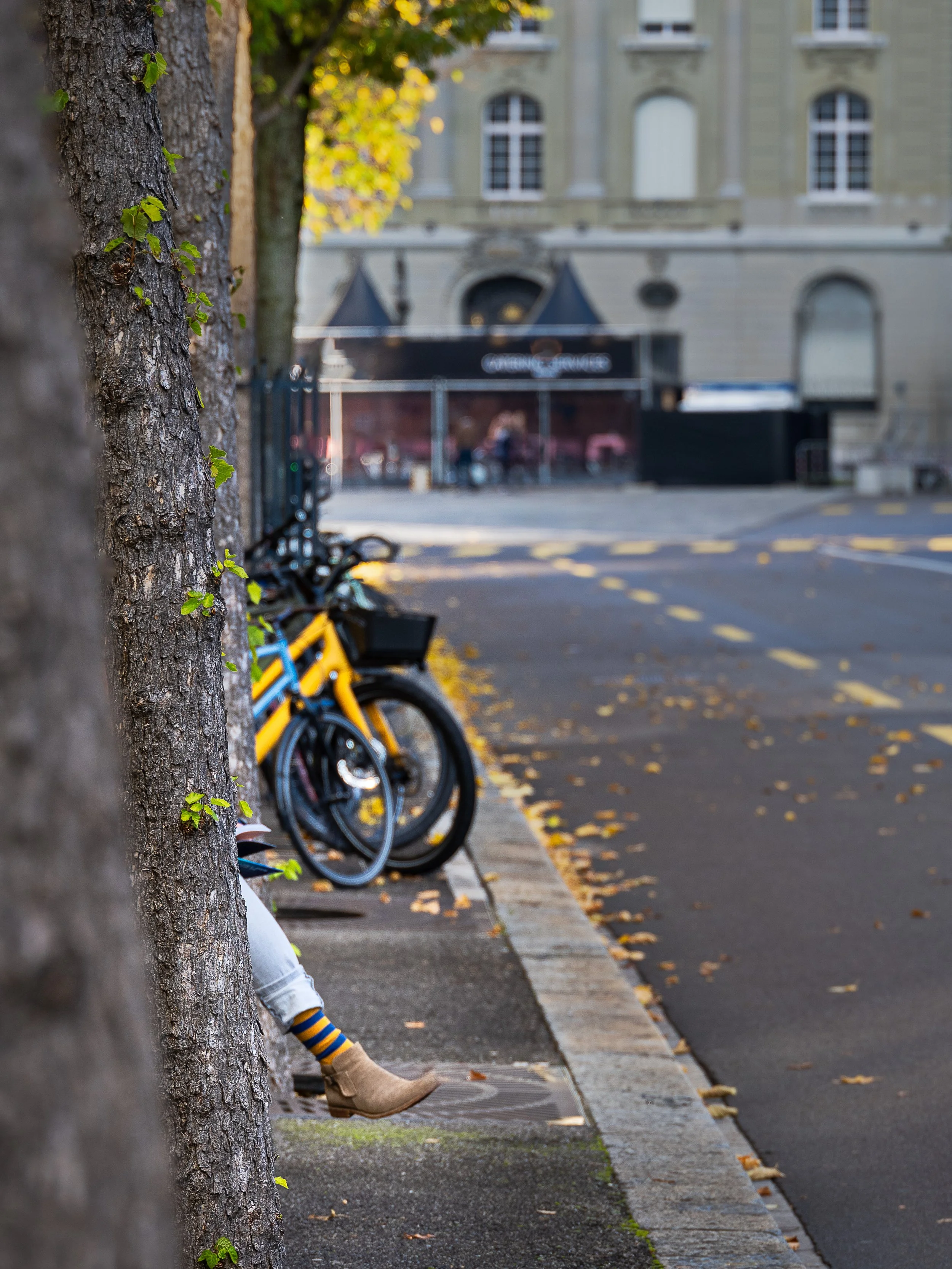 A city sidewalk with trees and parked bicycles in the foreground, a person sitting partially visible behind a tree, and a blurred building and street scene in the background with fallen autumn leaves on the ground.