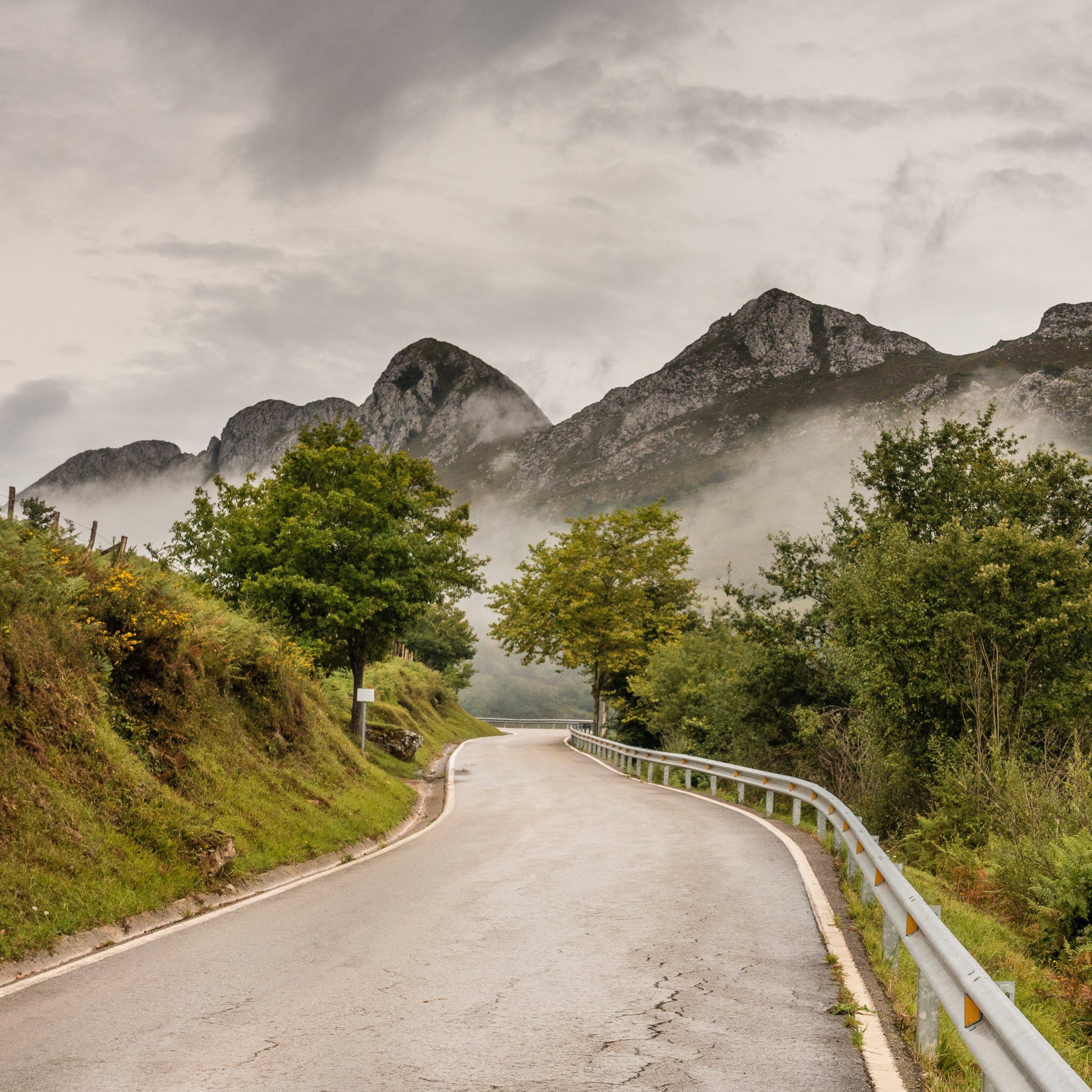 A winding mountain road bordered by green trees and a guardrail, with misty mountains and cloudy sky in the background.