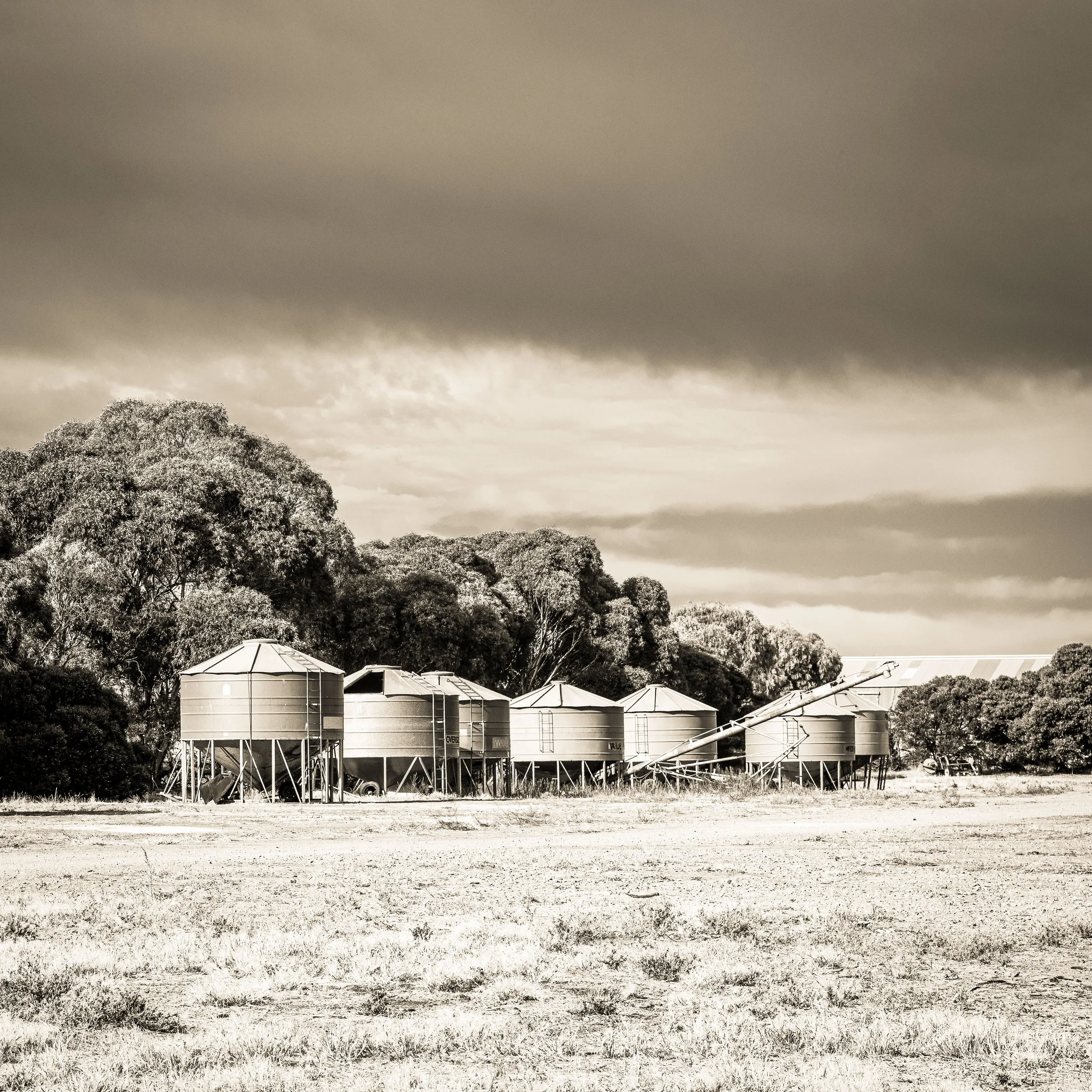 A row of industrial grain silos with a background of trees and a dark cloudy sky, in black and white.