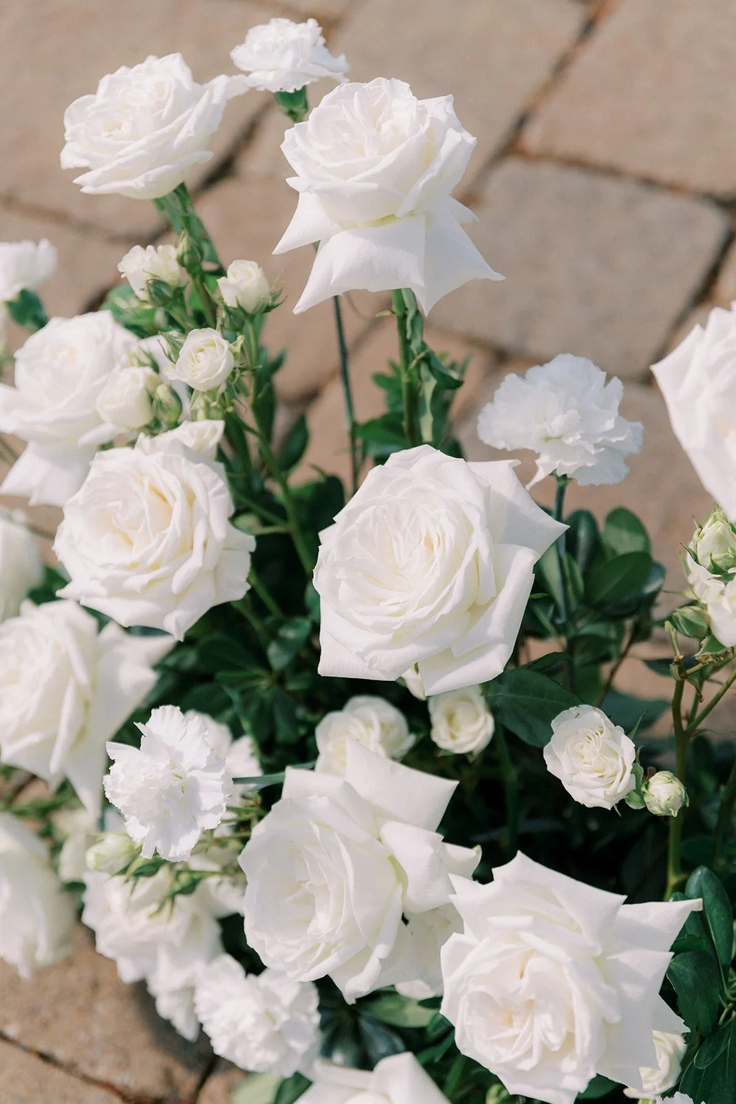 05 - Caitlin & Alex - Ceremony_008.jpg