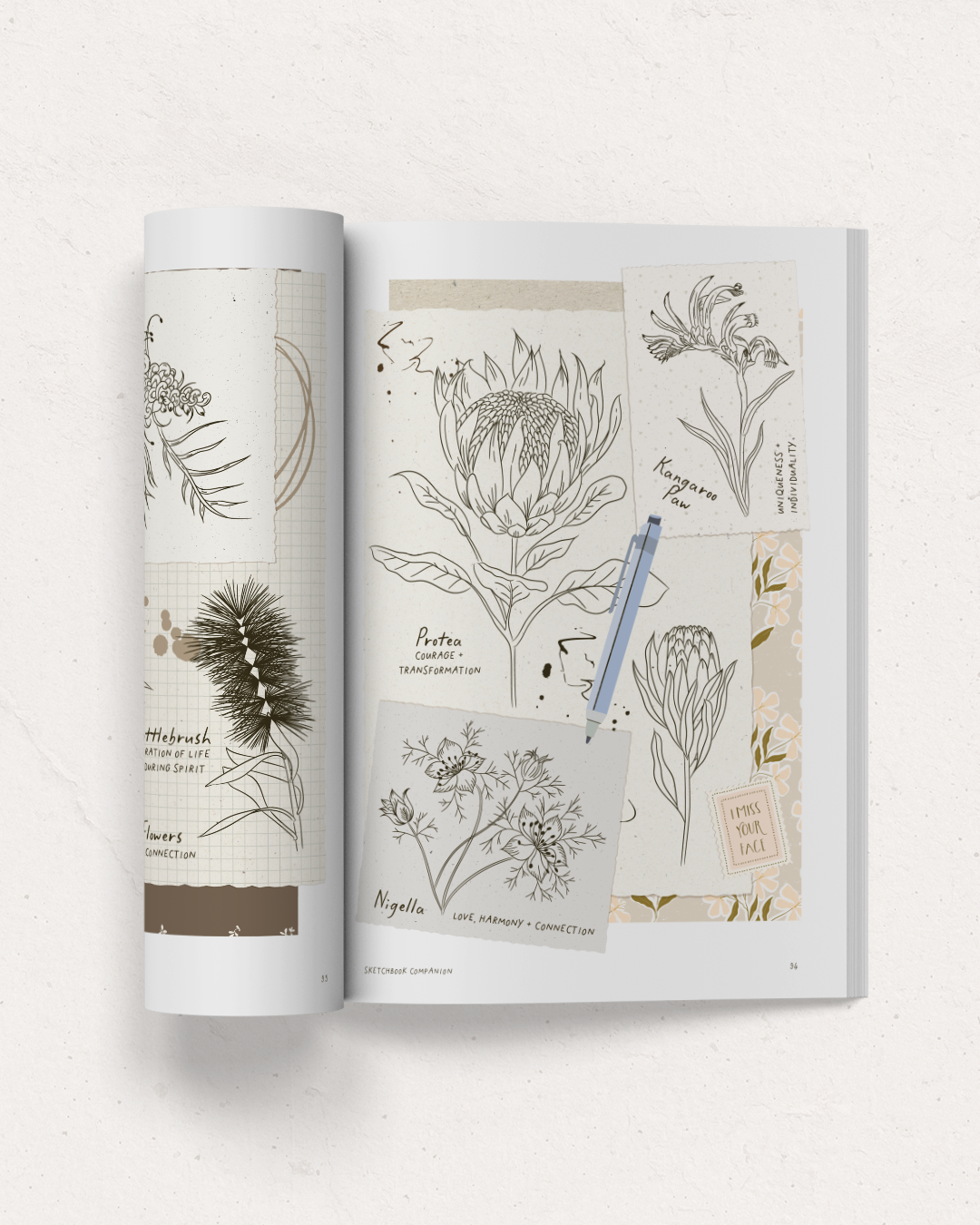 BY TALIA B - SKETCHBOOK COMPANION - BOTANICAL DRAWINGS REFERENCE GUIDE 12.png