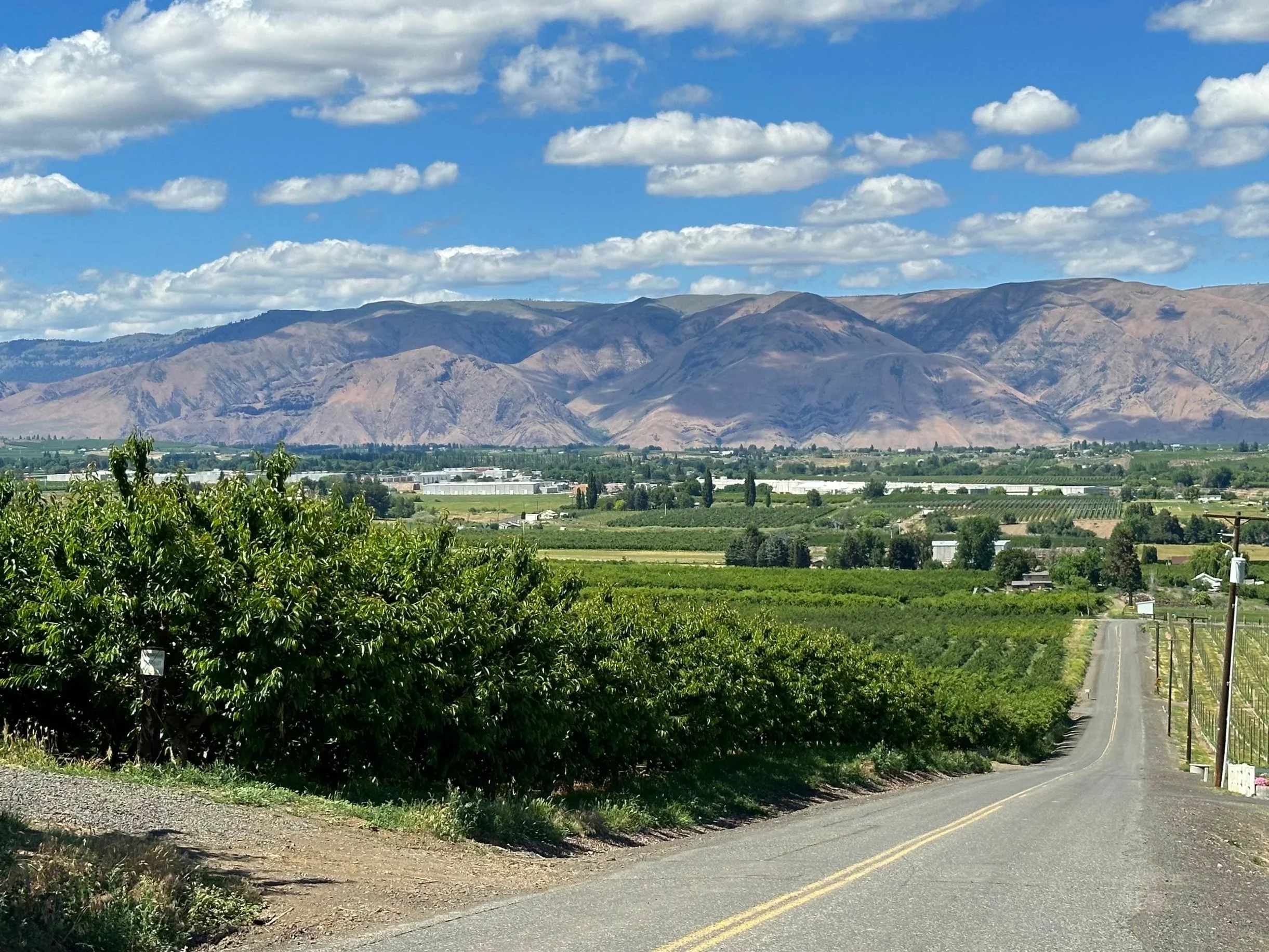 Photo of the eastside foothills of the cascades in Tieton, WA
