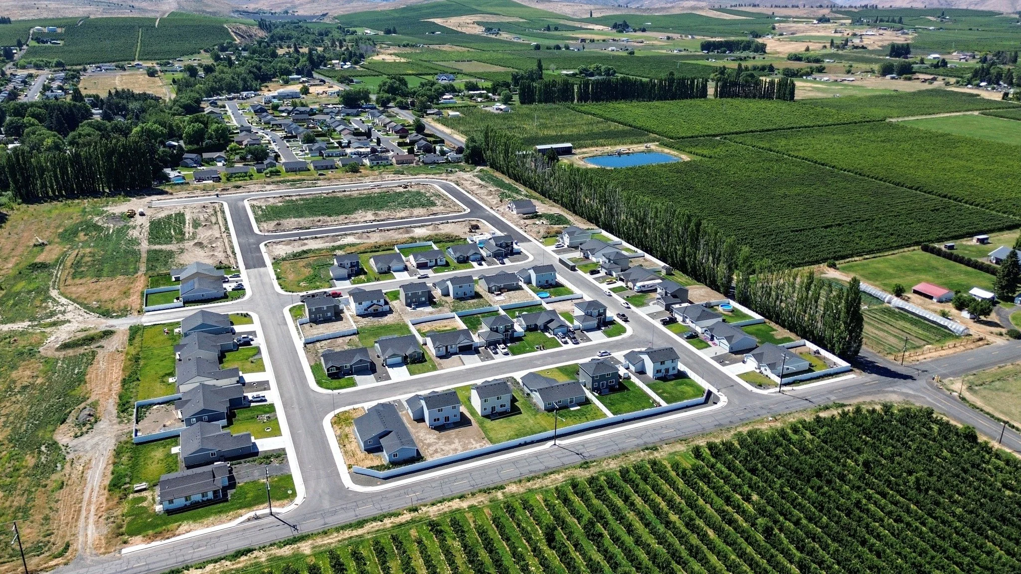 Aerial view of a housing development with newly built houses, roads, and green lawns, surrounded by farmland and vineyards.