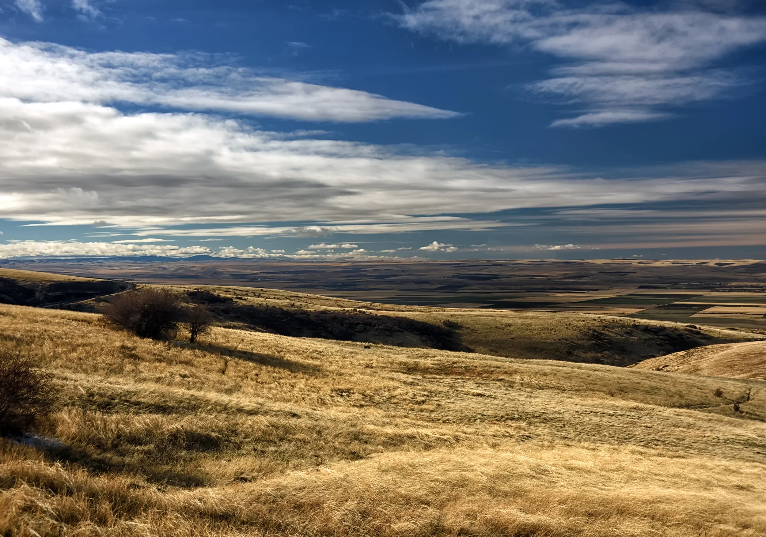 Photo of view from Cabbage Hill in Pendleton, OR
