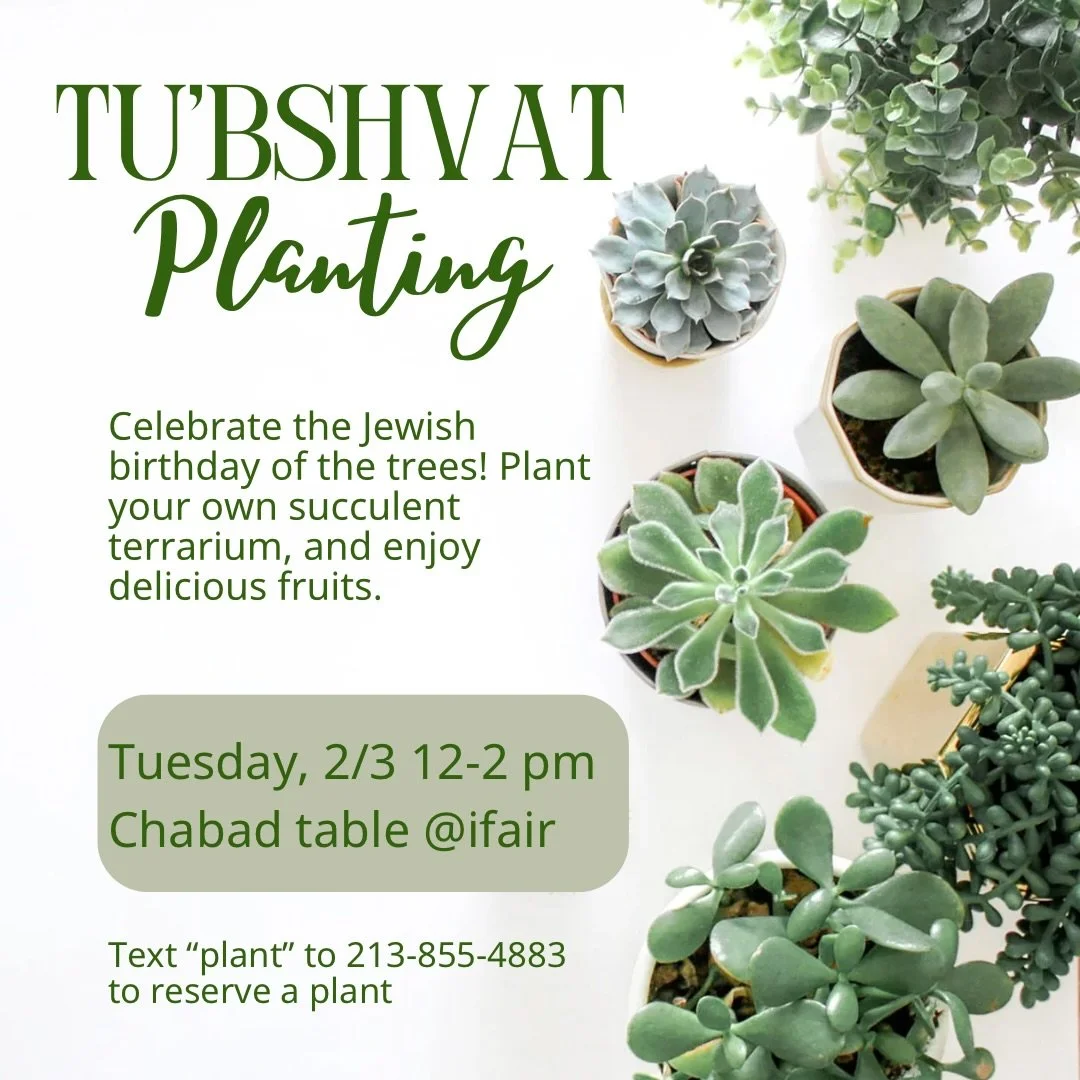 Plant a succulent at the Ifair!!