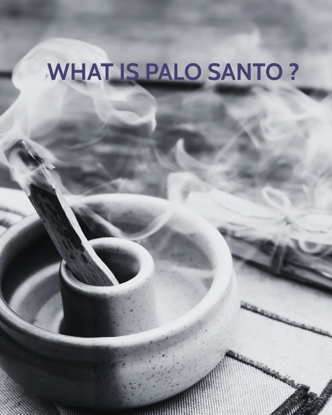 What is the tree that the whole world is burning?
Palo Santo &mdash; Bursera graveolens &mdash; grows wild in the dry coastal forests of Ecuador, Peru and Bolivia. It belongs to the same botanical family as frankincense and myrrh, and has been consid