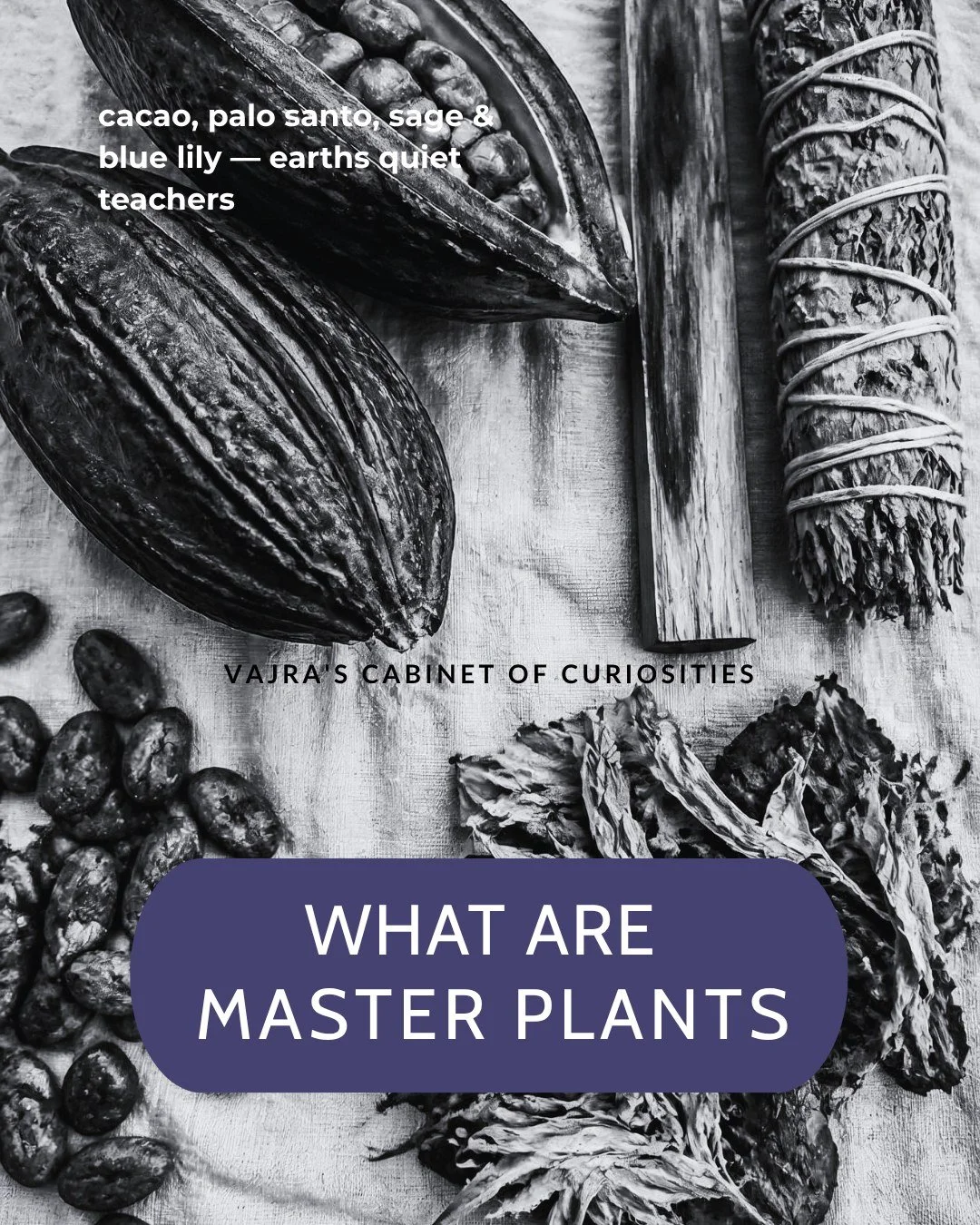 Sacred master plants are earth-born teachers, 
offering smoke, scent, flavor, and spirit as offerings to devotion. 
They are revered not only for their uses, but for the relationship they invite &mdash; 
a slower breath, a quieter mind, a more attent
