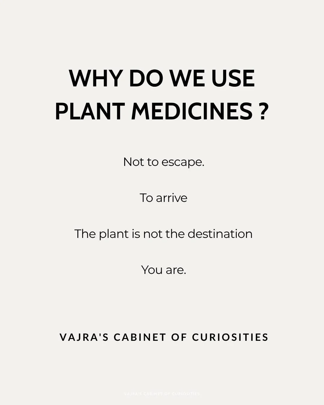 Not to escape. To arrive. 

The deepest purpose of plant medicine &mdash; whether it is a cup of cacao, a stick of Palo Santo, a tea of Blue Lily, or something far more profound &mdash; is not to take you somewhere else. It is to bring you more fully