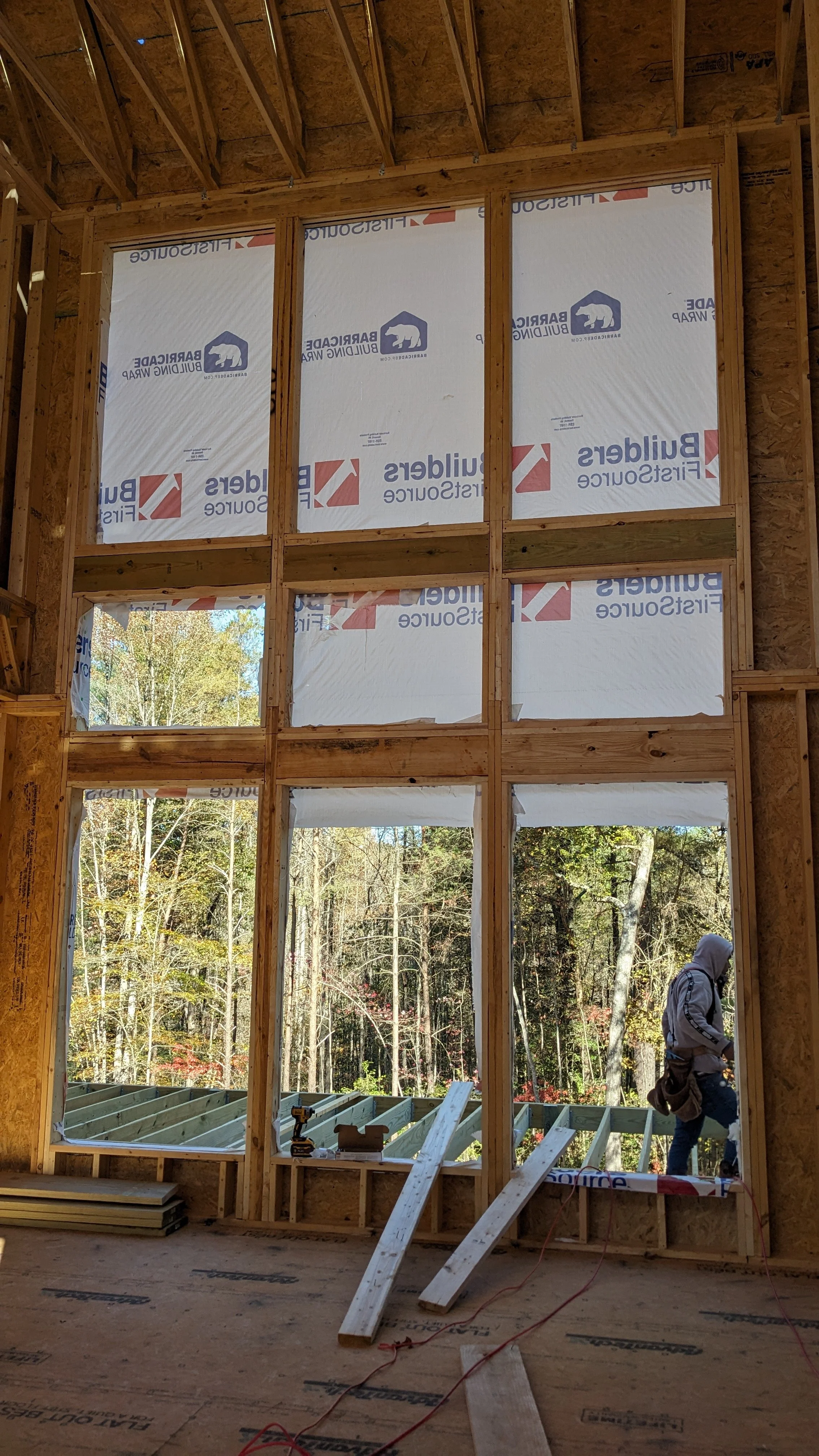 living room windows