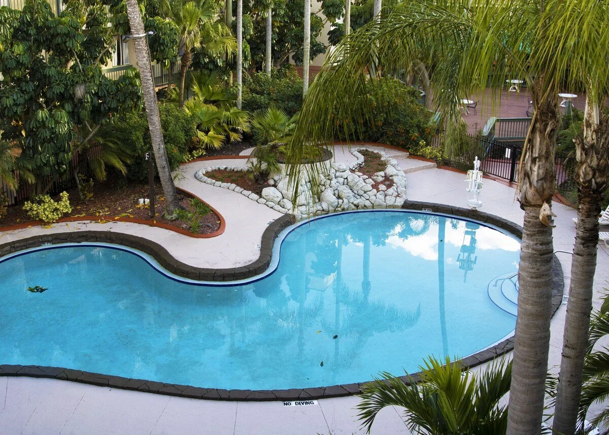 A swimming pool surrounded by lush greenery including palm trees and bushes, with a small rock garden and a concrete deck area.