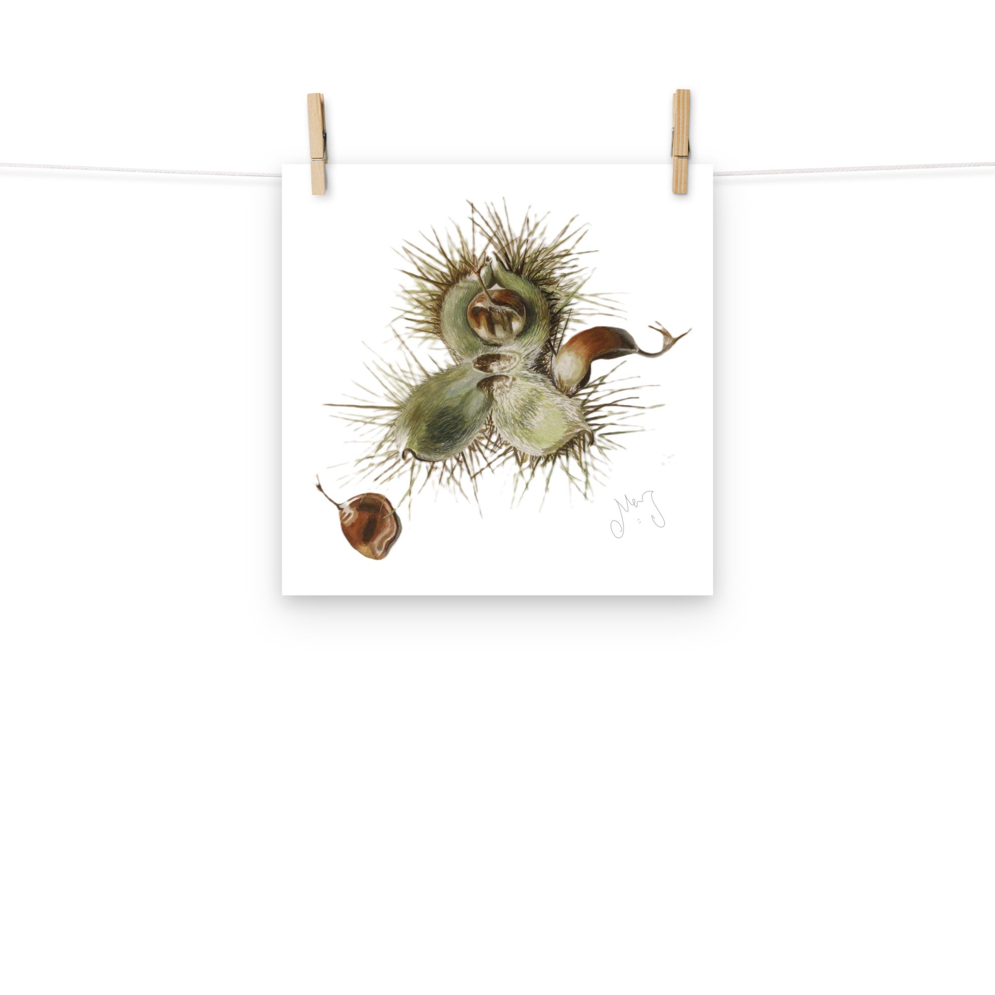 enhanced-matte-paper-poster-(in)-12x12-front-66ff102b2e2bc.jpg