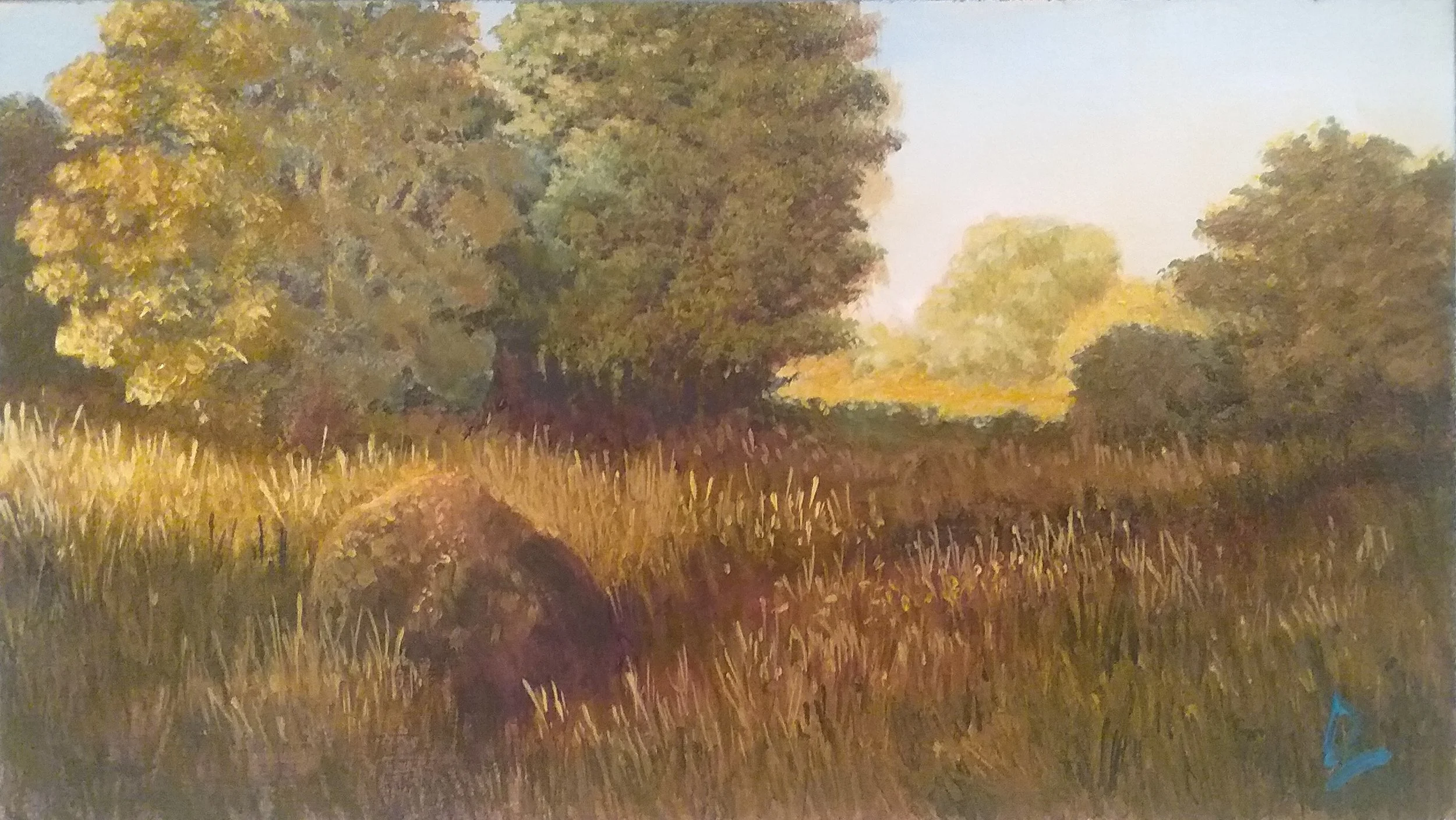 Late Afternoon Light #2