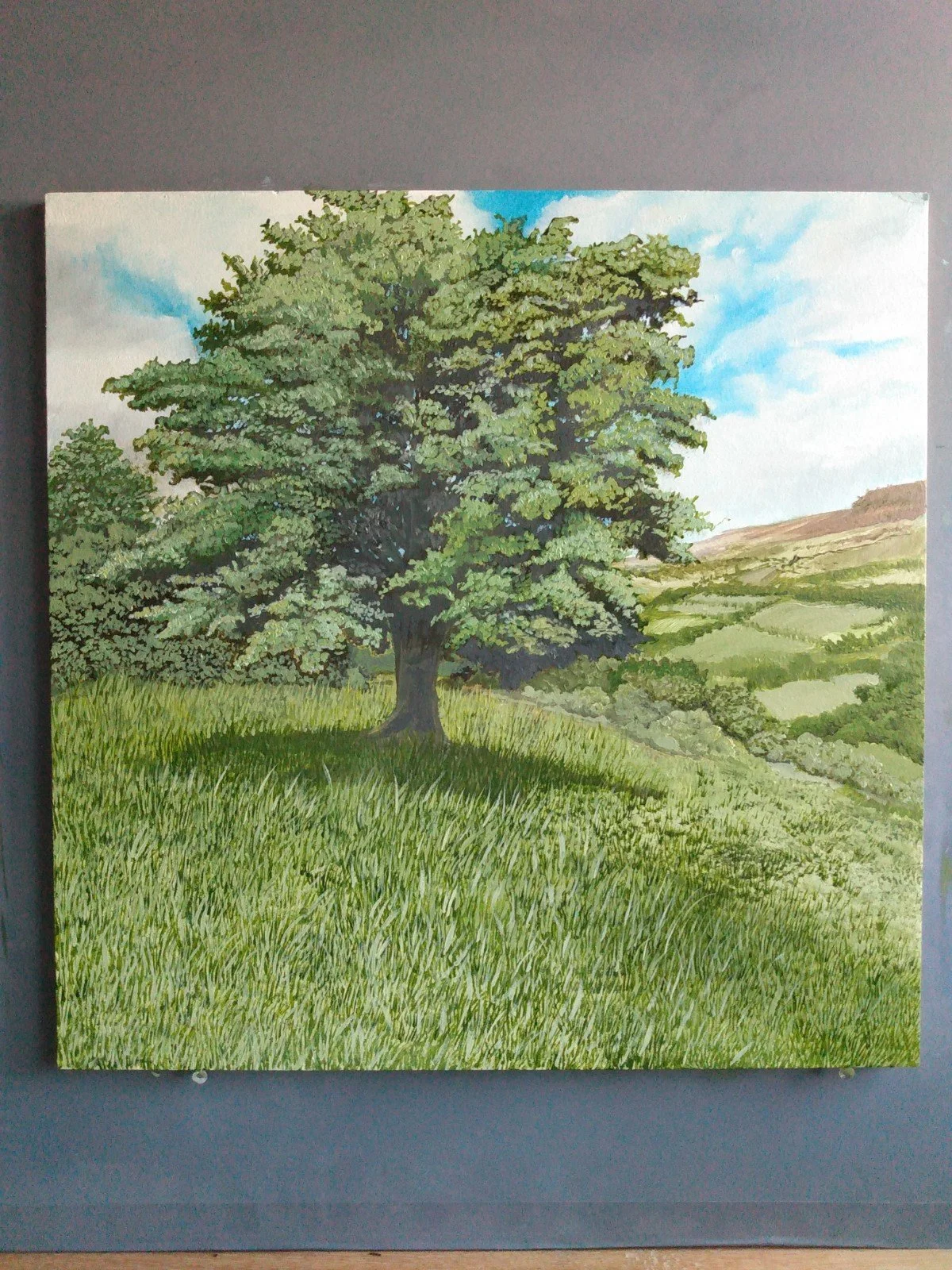 Summertime Landscape