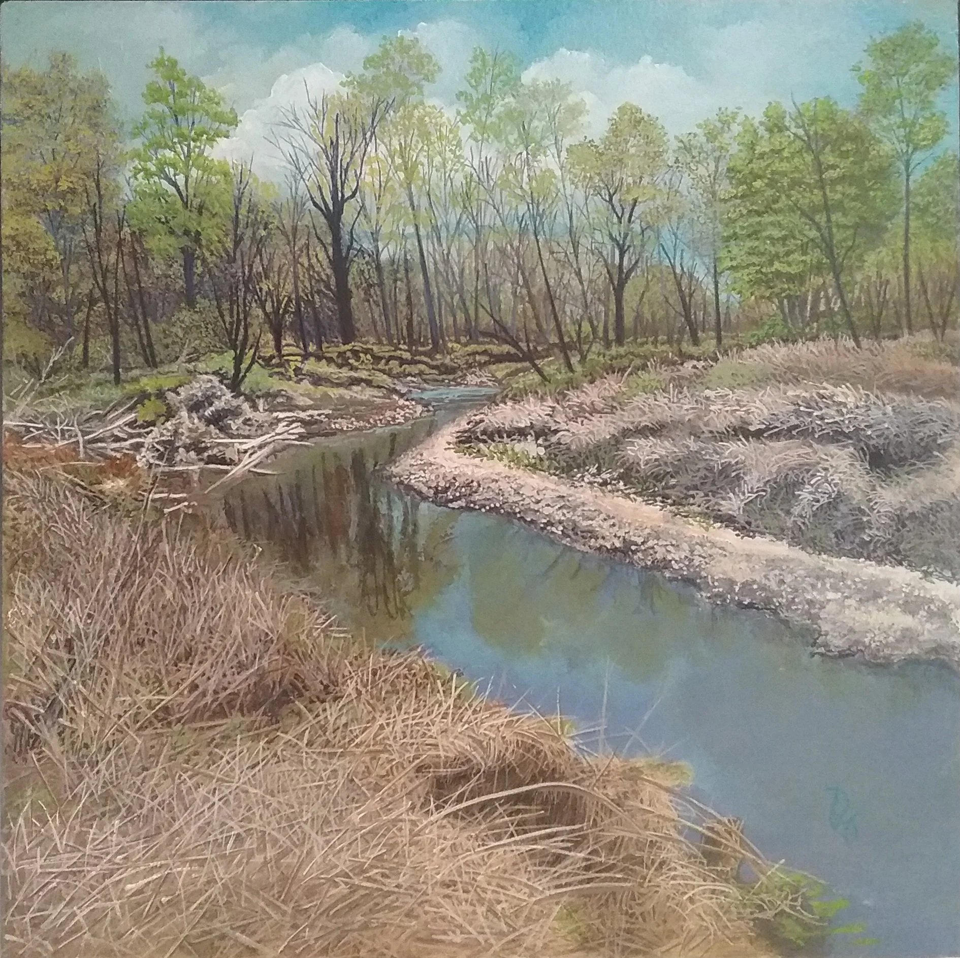 Sandy Creek Awakening