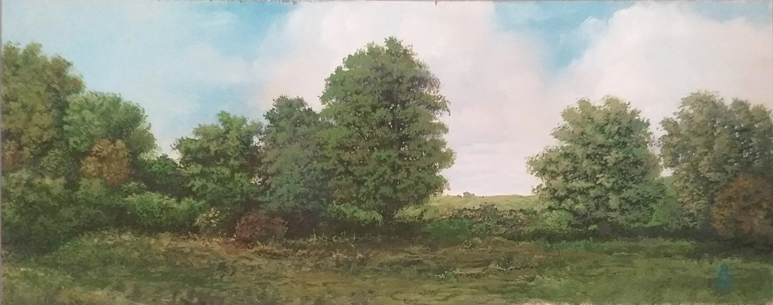 Mid-Day Landscape