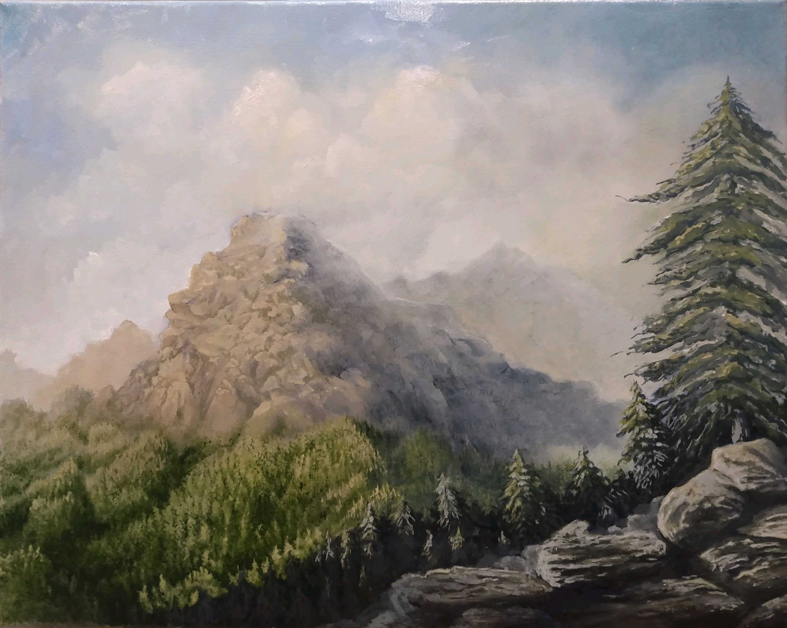 Misty Mountain 16x20-$650