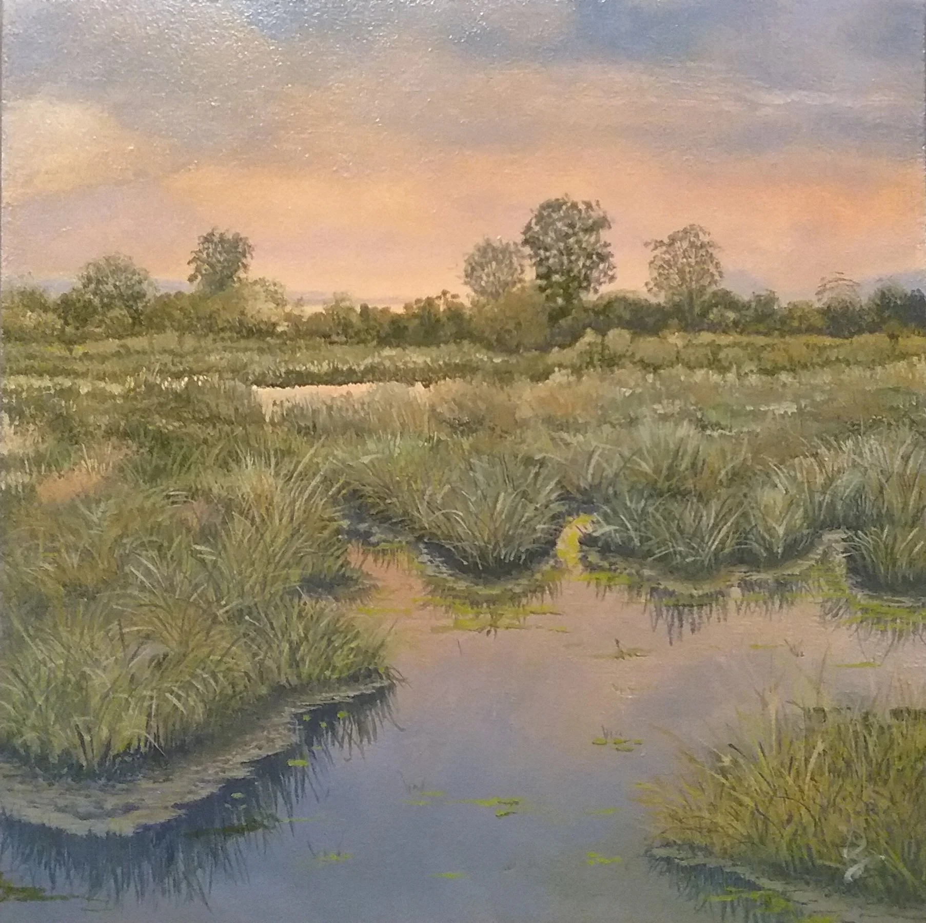 Lowlands At Dusk
