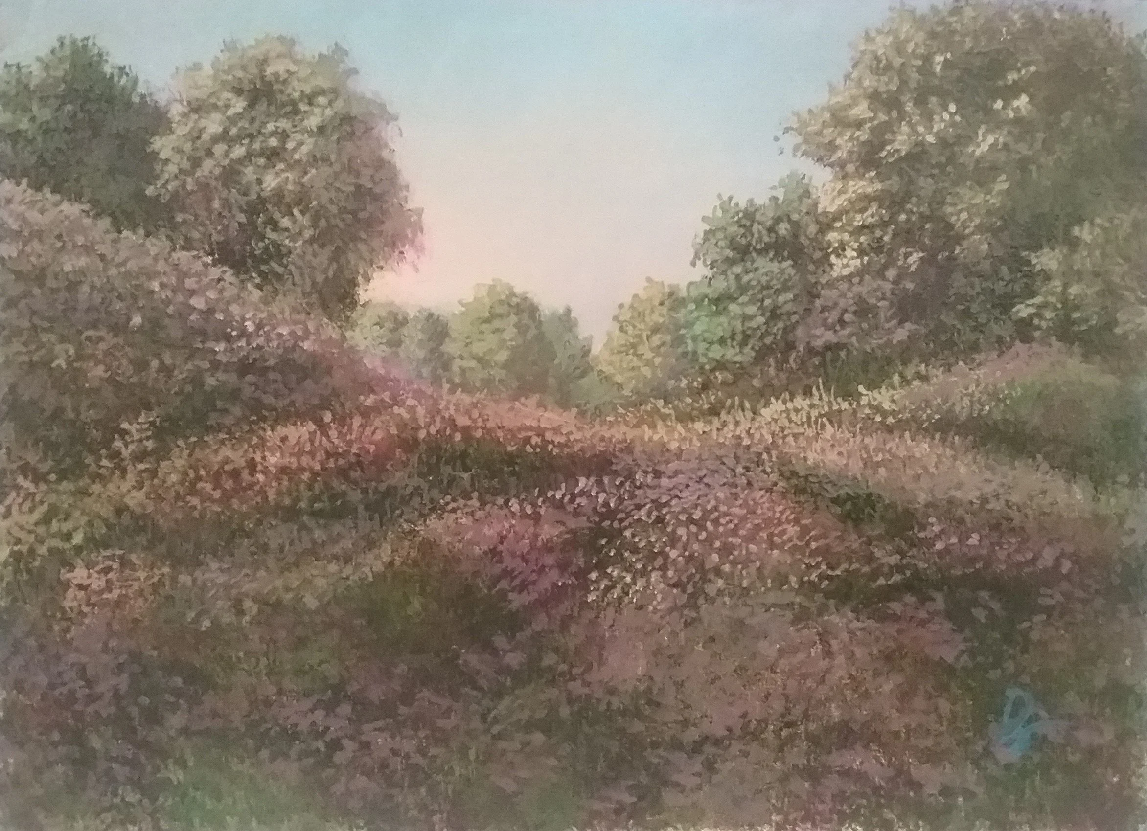 Fields in Bloom