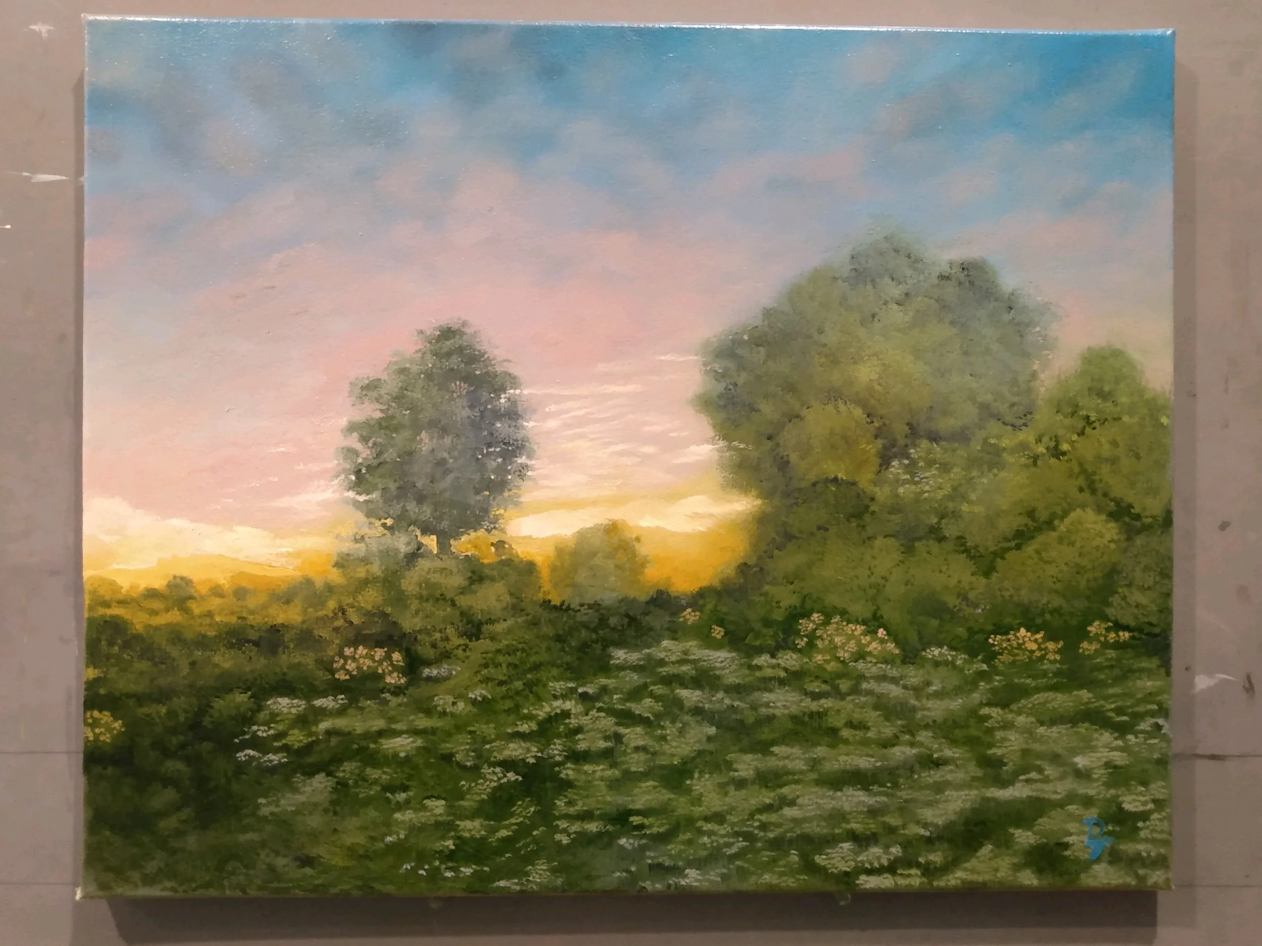 Morning's Light   16 x 20.jpg