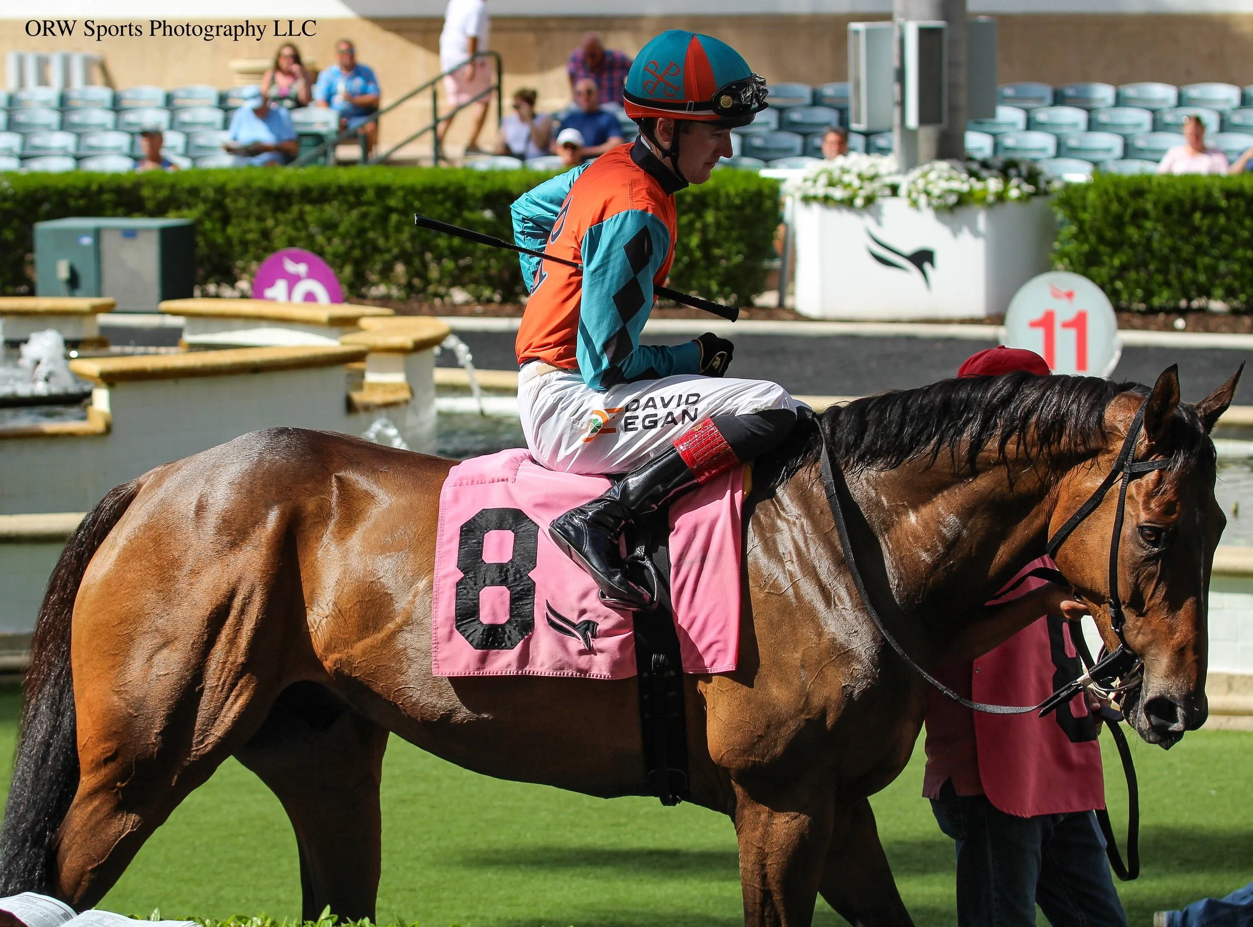 Niagara Skyline and David Egan 