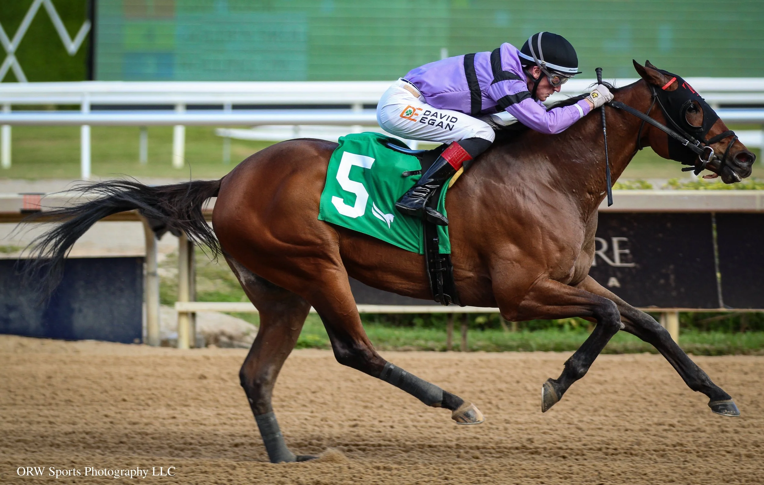 Pet Mat and David Egan 