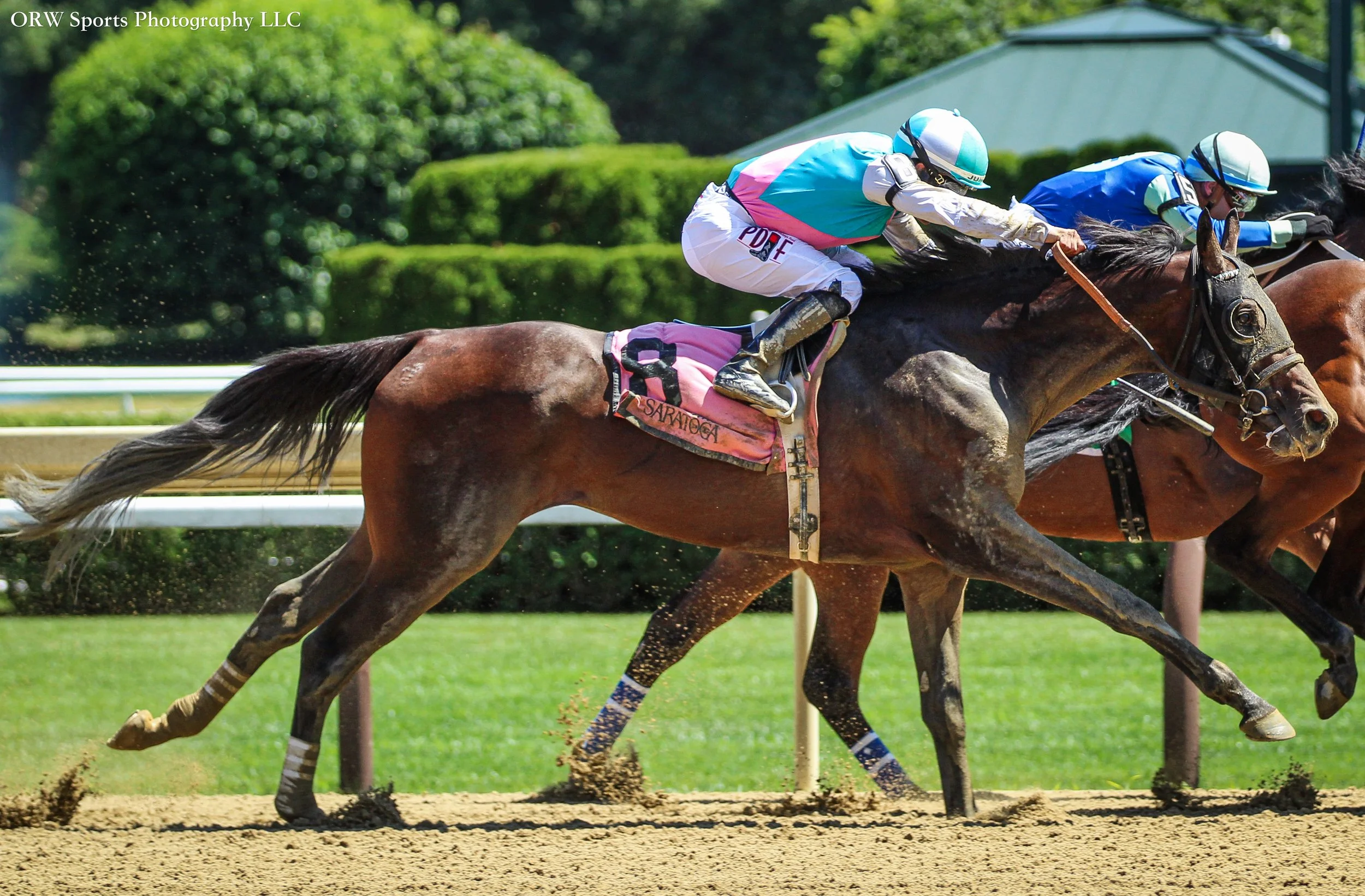 Sfumato and Junior Alvarado