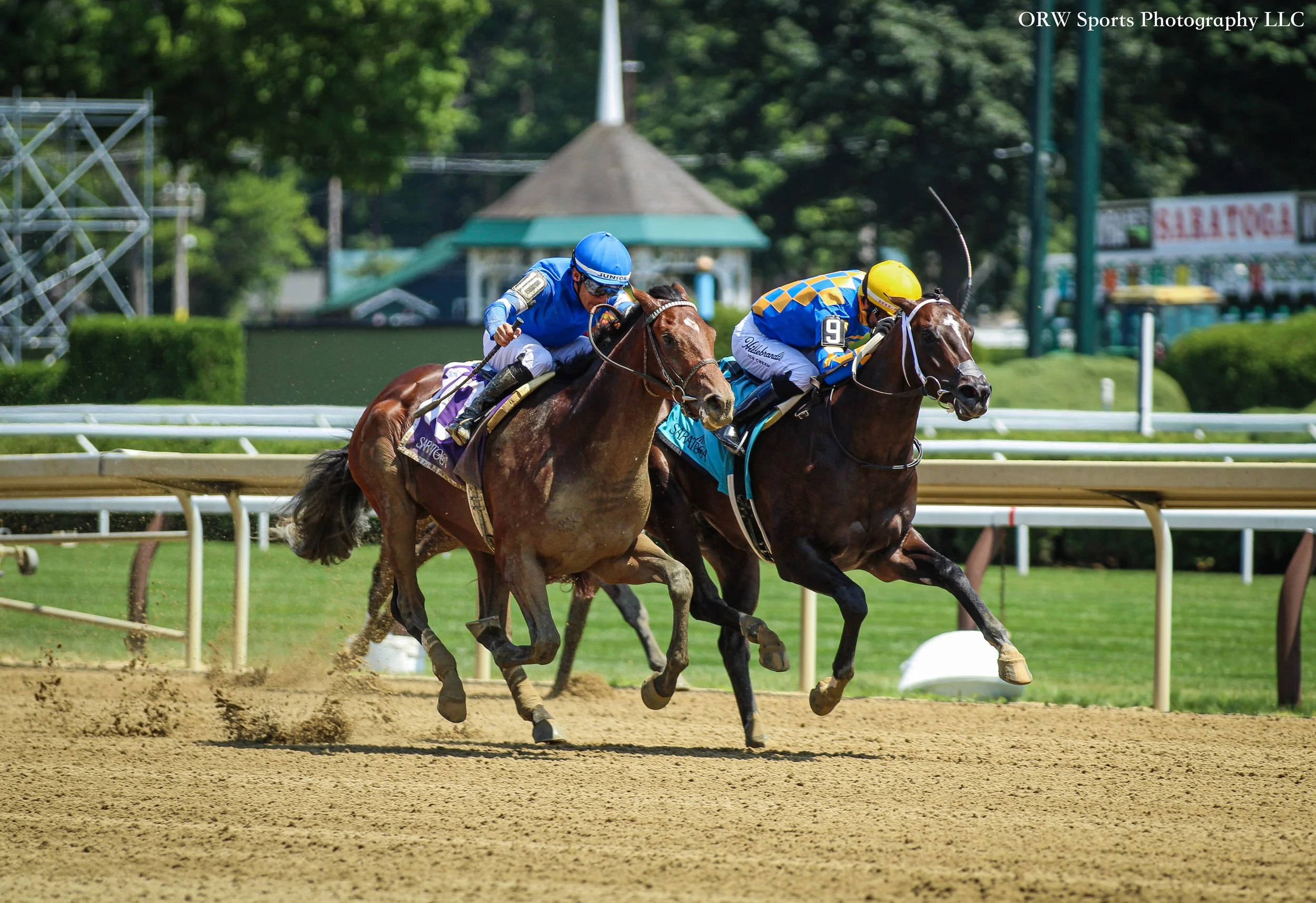 Belzoni vs Grand Yaupon. (Belzoni was one of Elevated's work mates prior to her debut) 