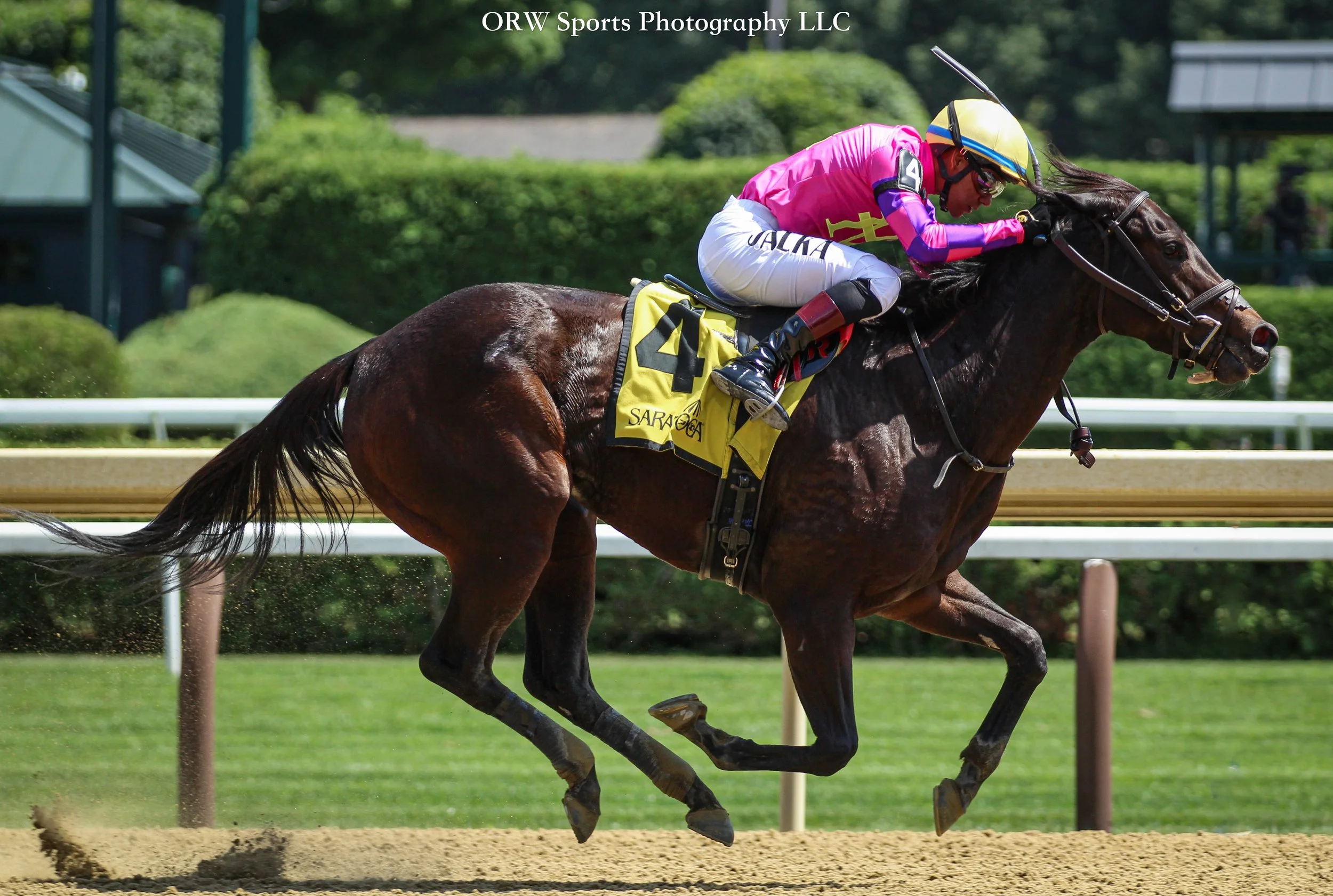 Bellacose and Jaime Rodriguez 