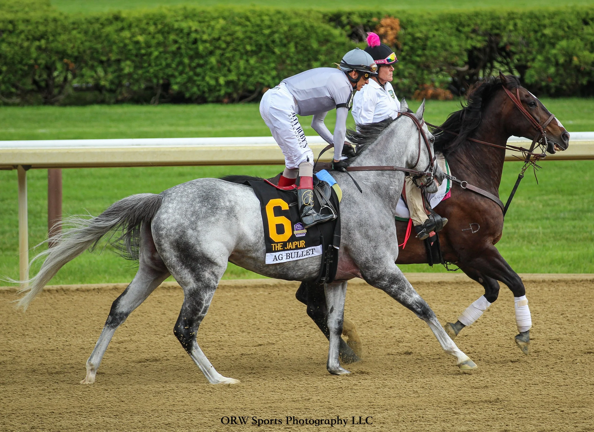 Ag Bullet, reiging winner of the Grade 1 Jaipur Stakes